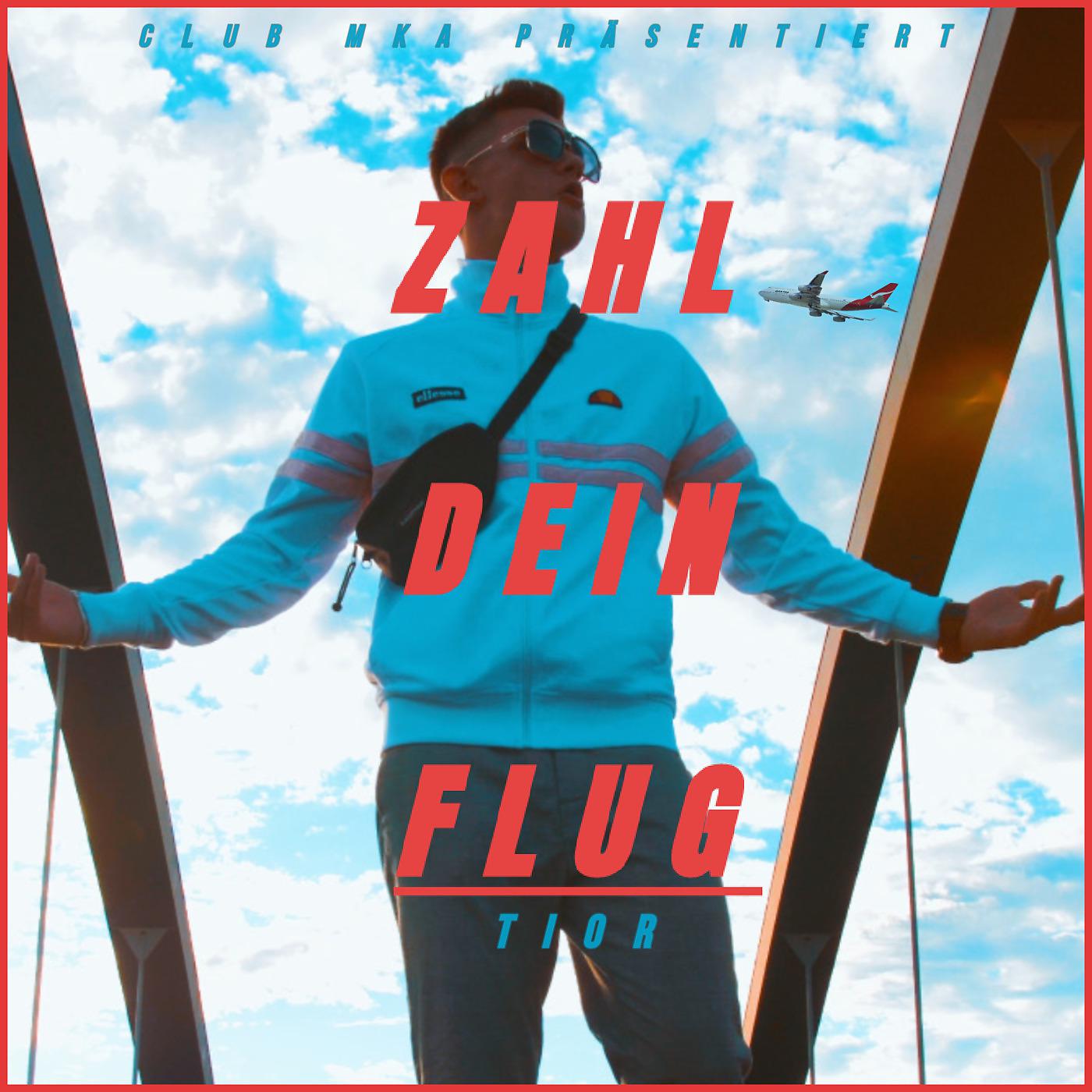 Постер альбома Zahl Dein Flug