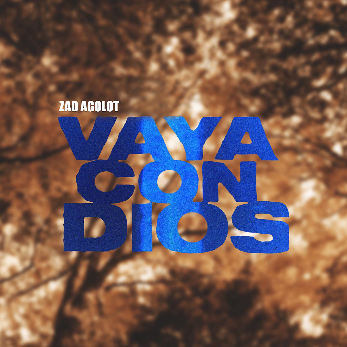 Постер альбома Vaya Con Dios