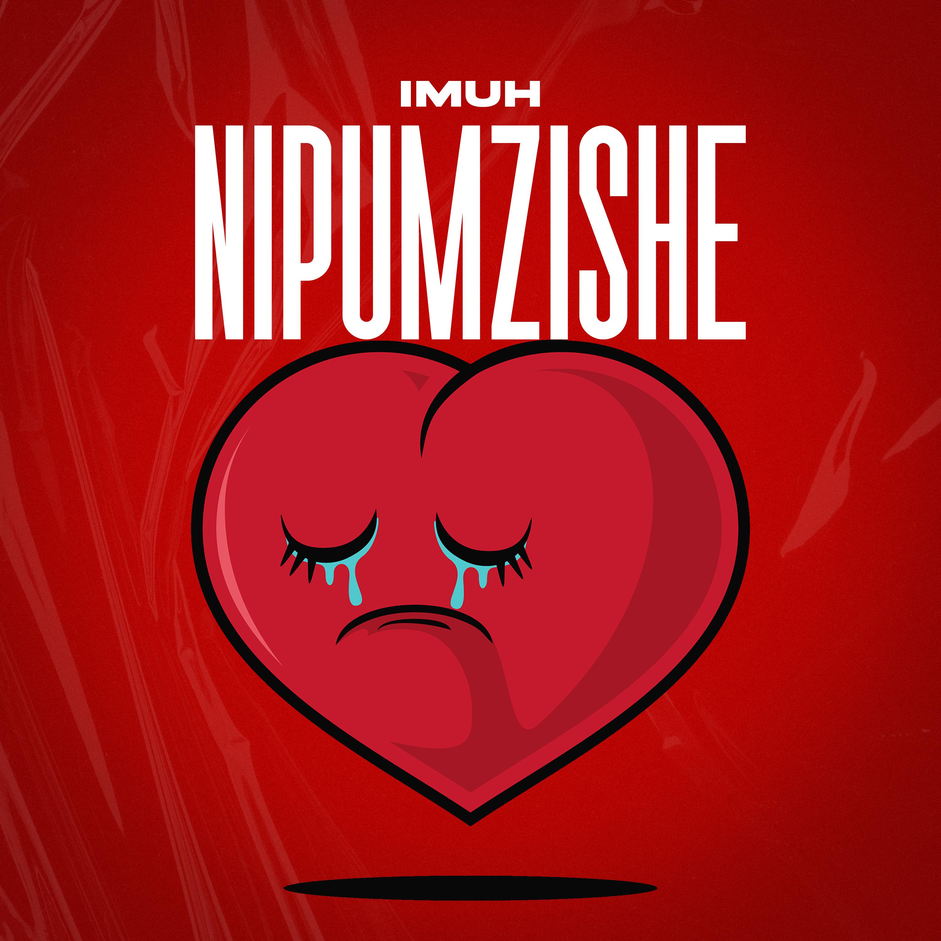 Постер альбома Nipumzishe Moyo