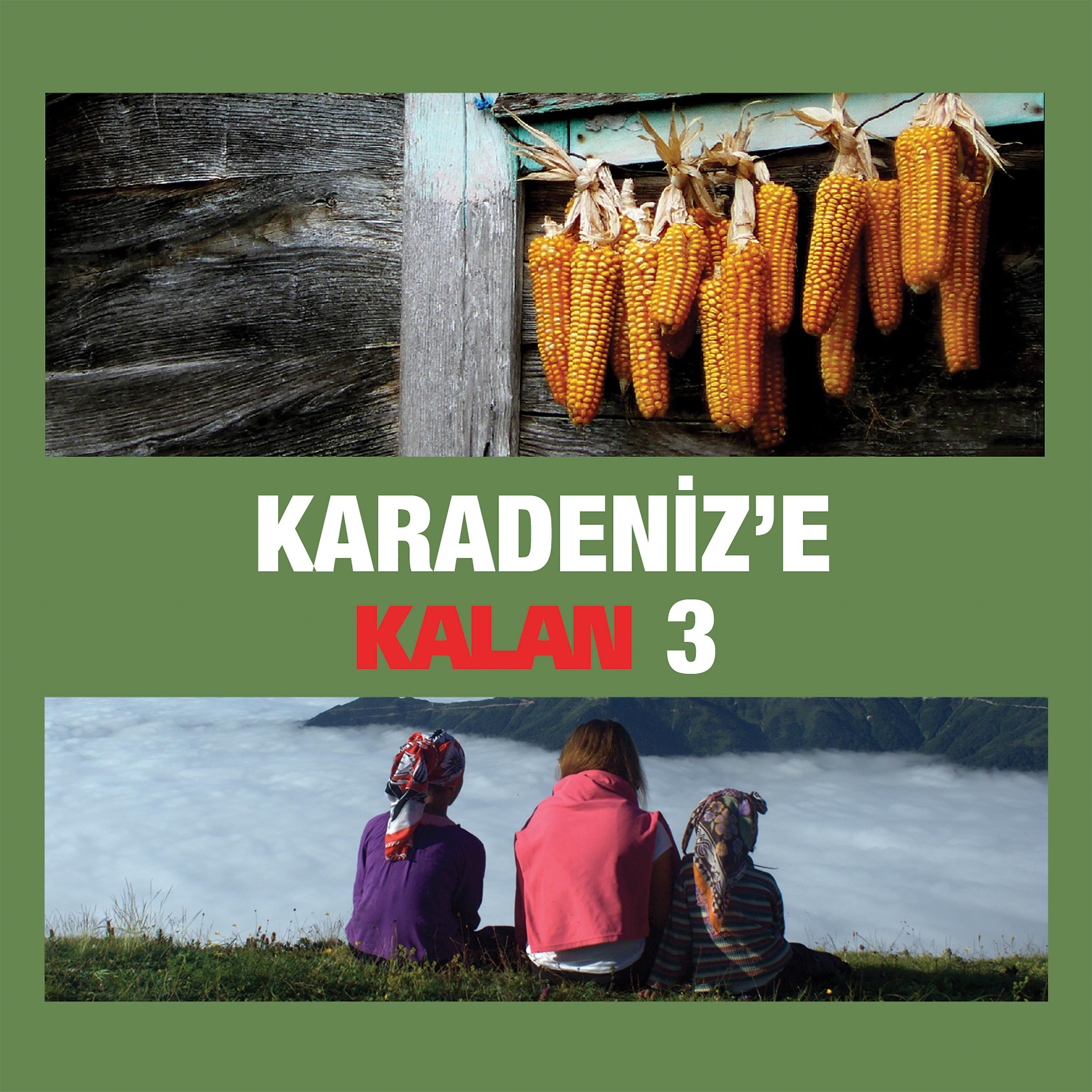 Постер альбома Karadeniz'e Kalan, Vol. 3