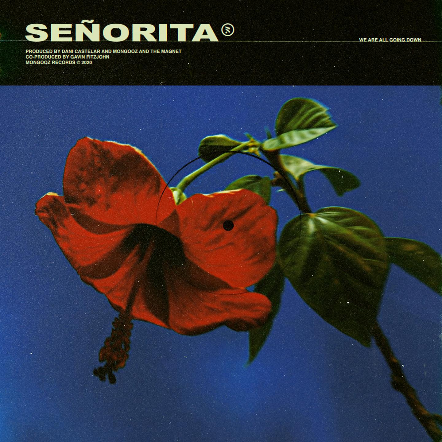Постер альбома señorita