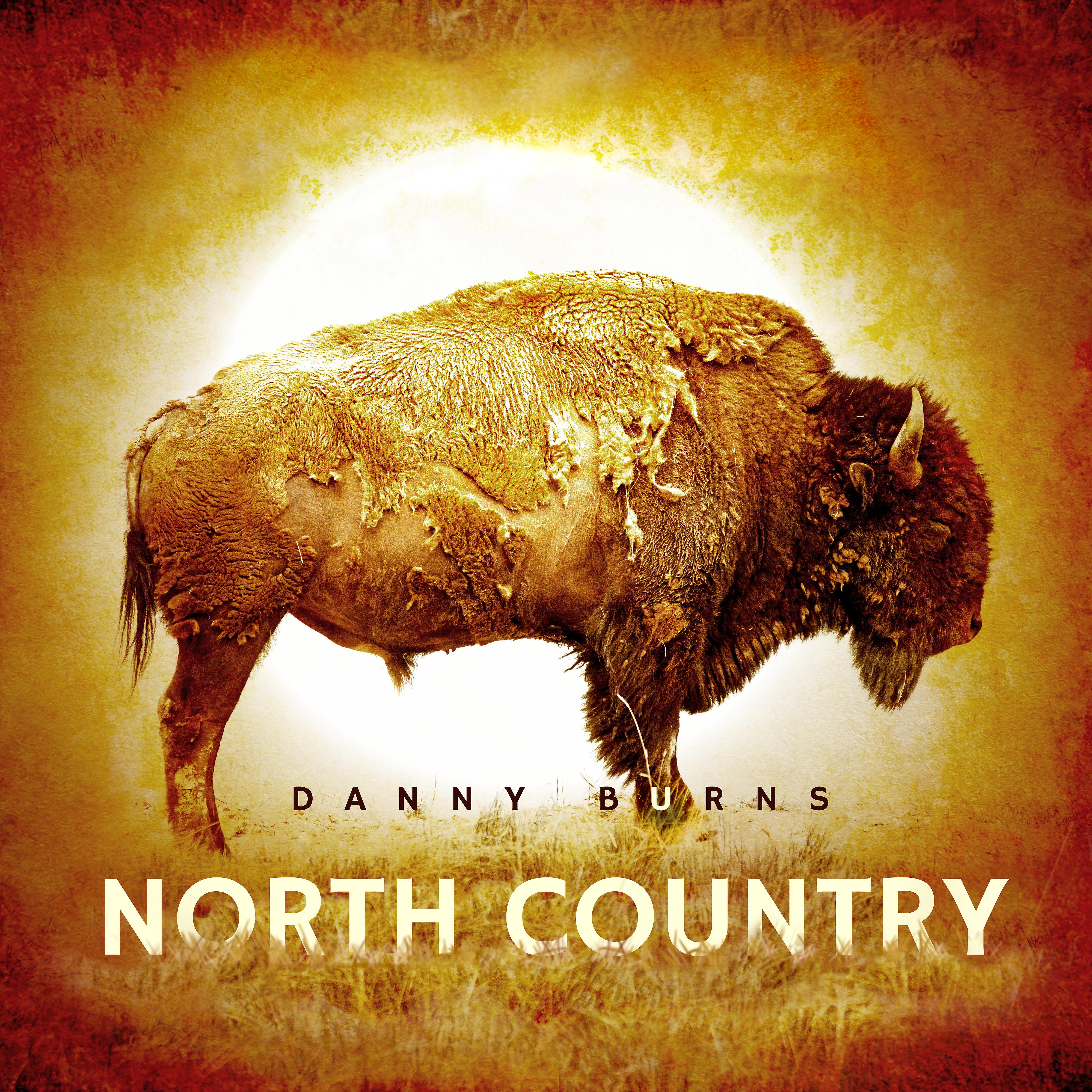 Постер альбома North Country