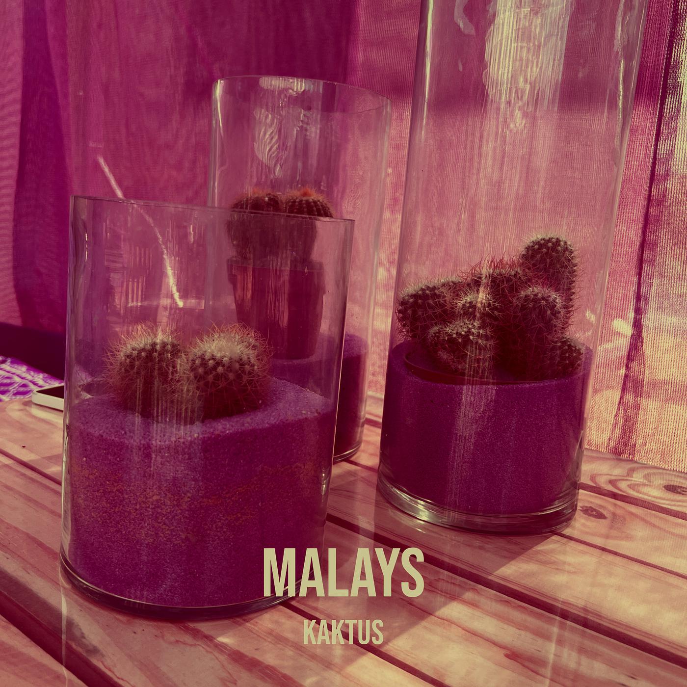 Постер альбома Malays