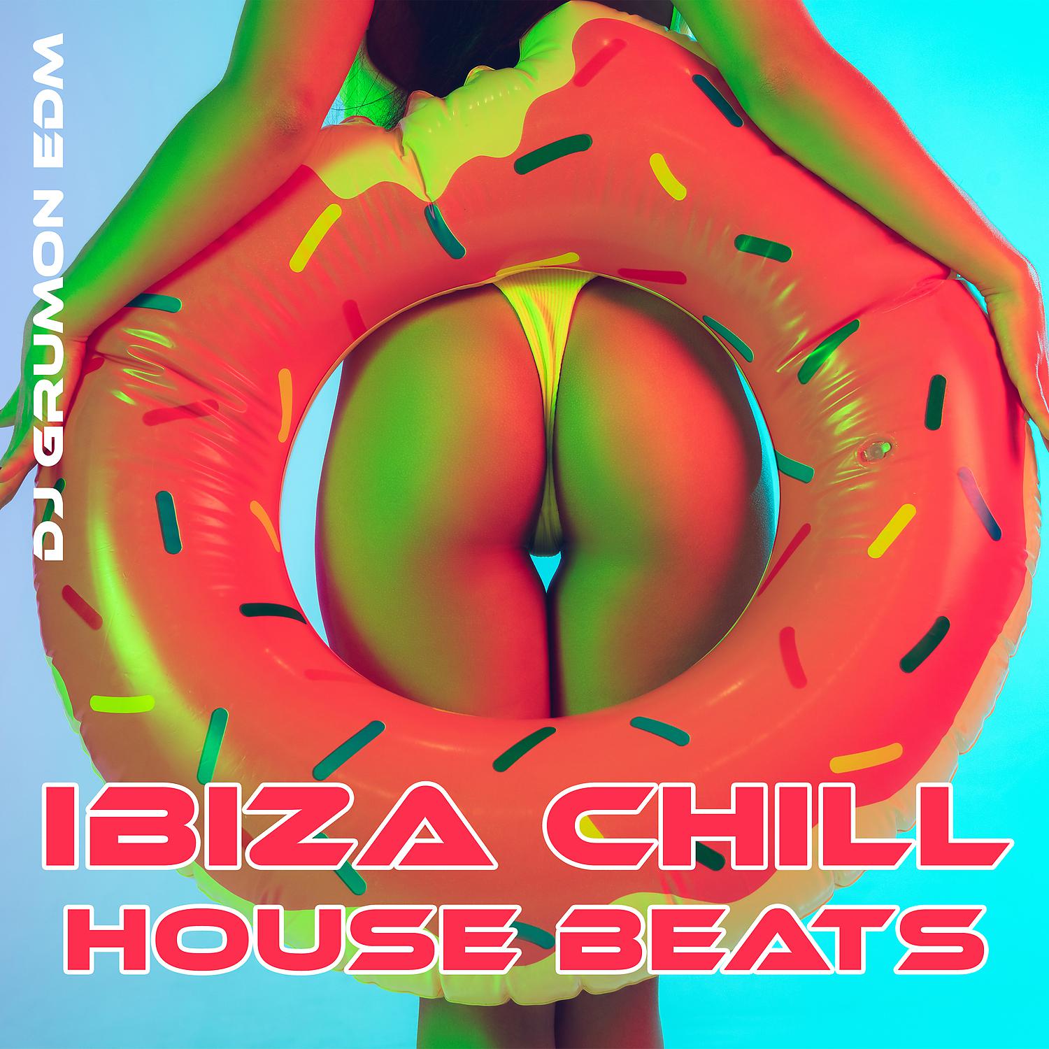 Постер альбома Ibiza Chill House Beats