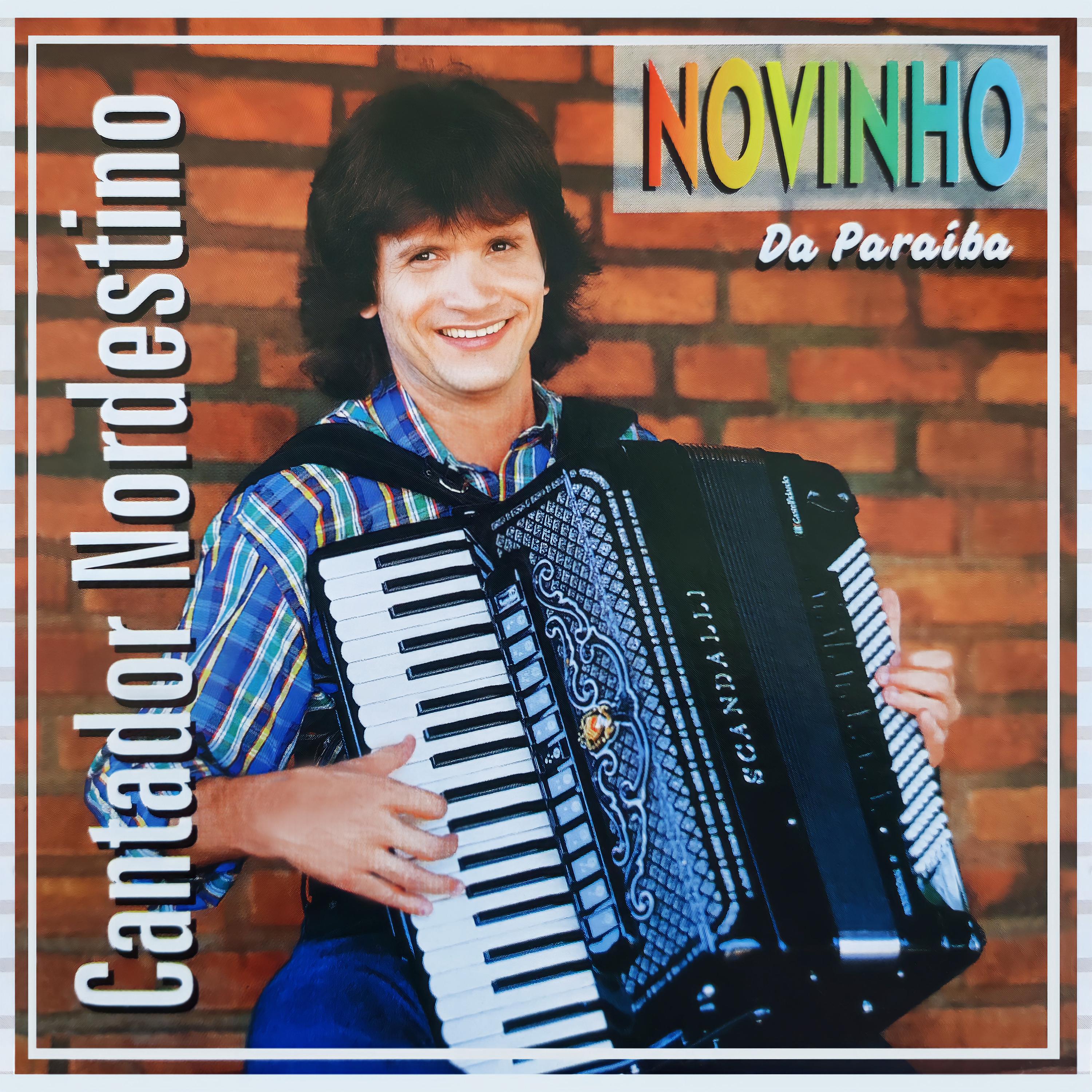 Постер альбома Cantador Nordestino