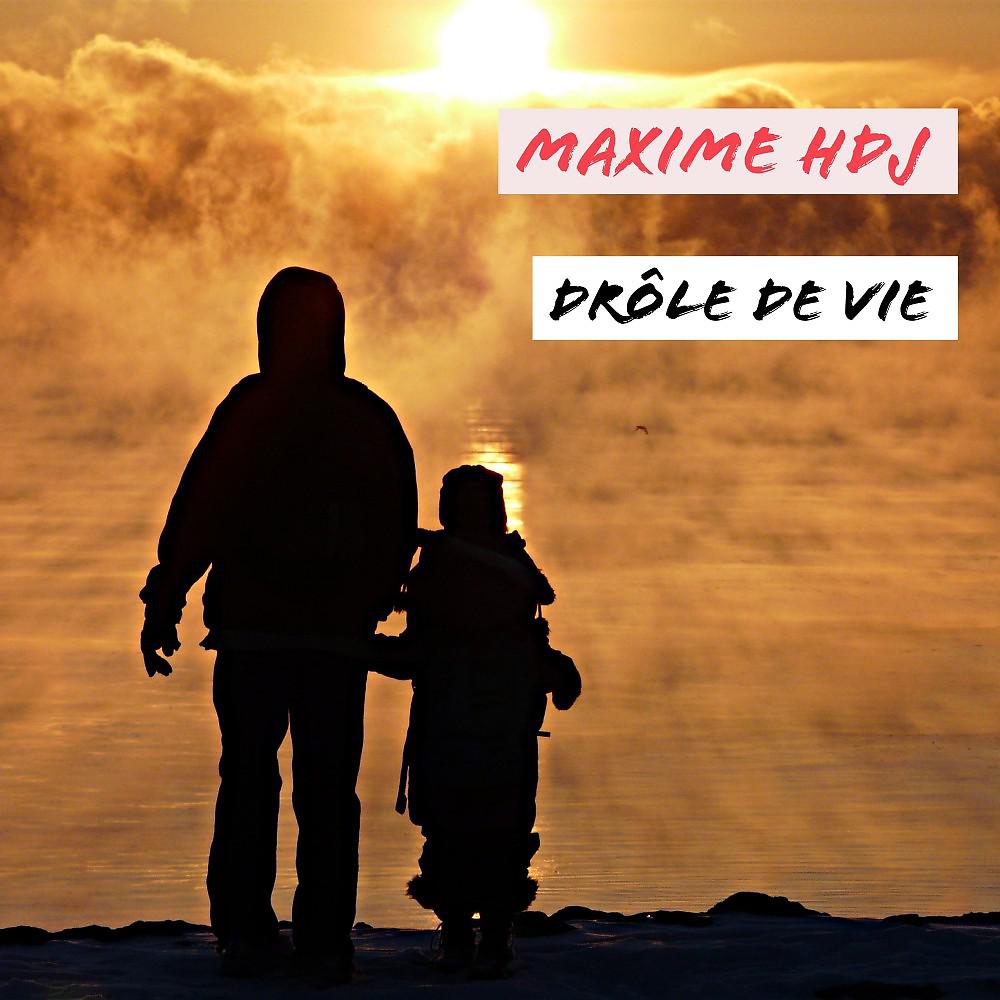 Постер альбома Drôle de vie