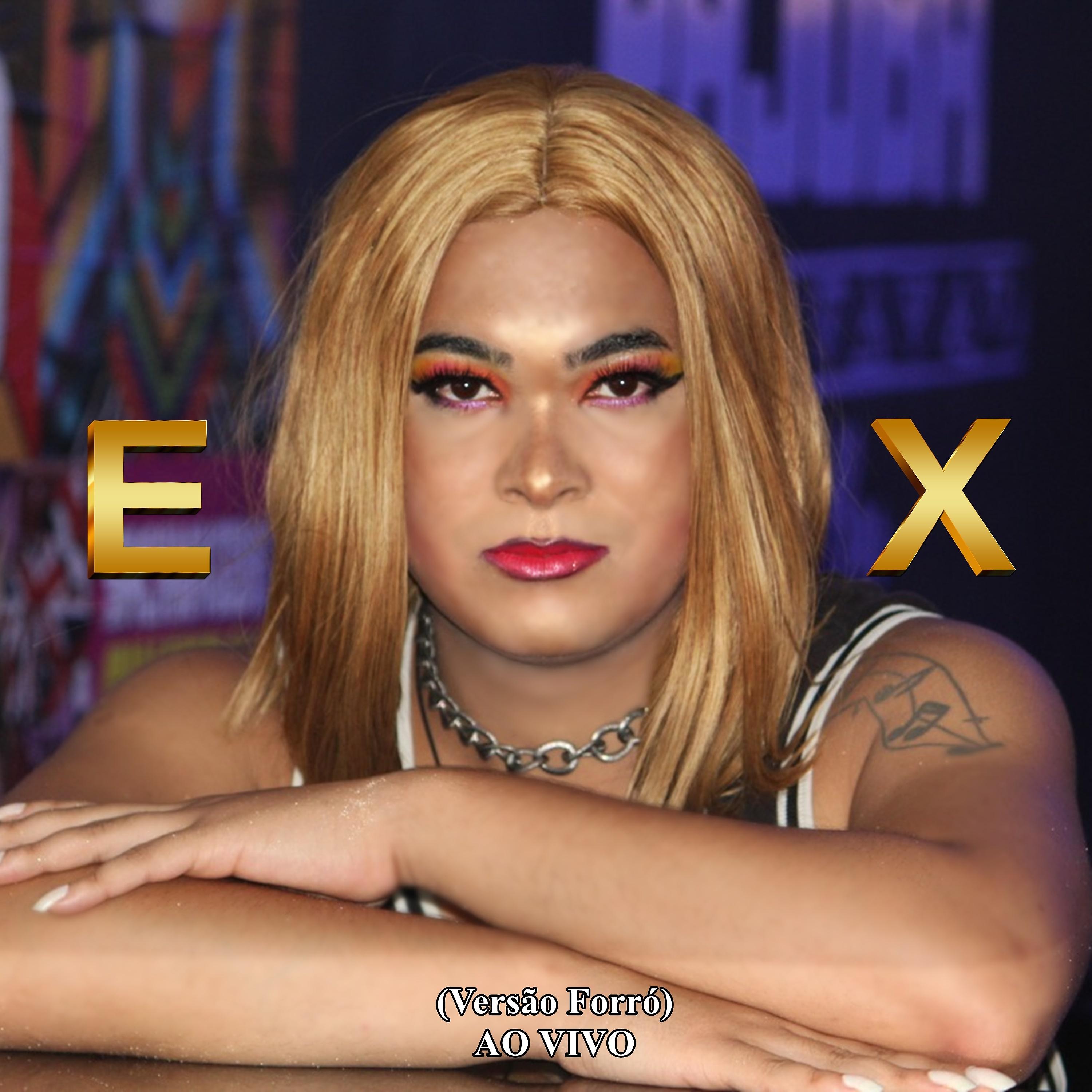 Постер альбома Ex (Versão Forró)