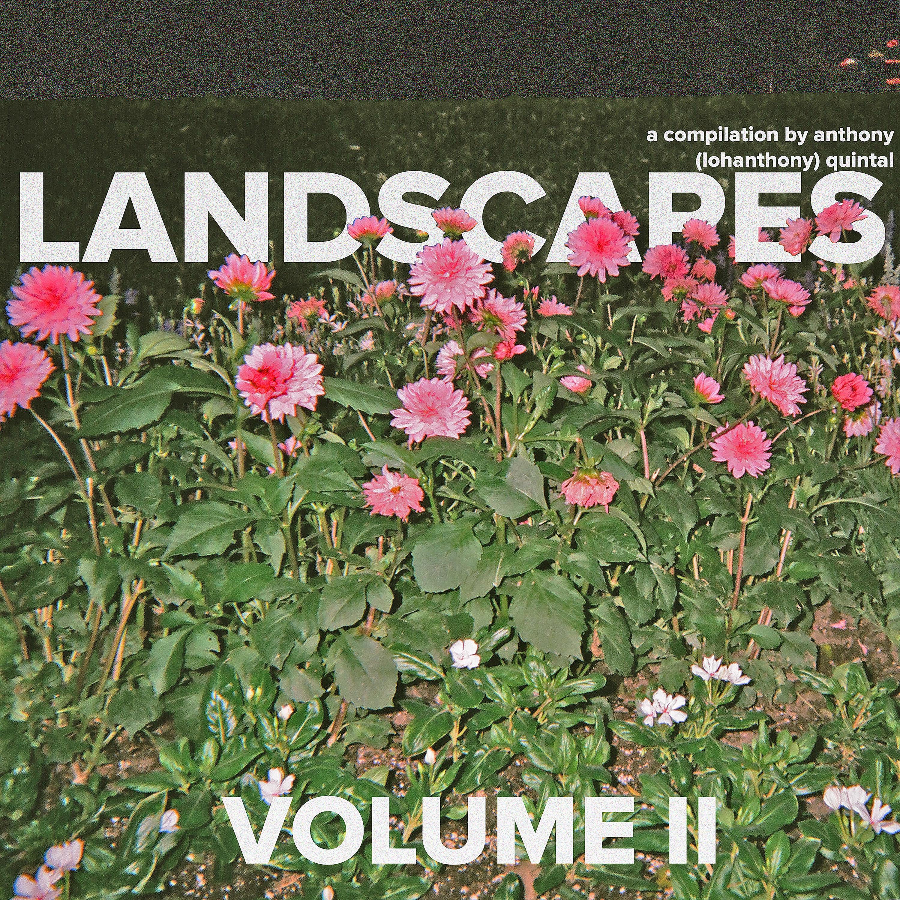 Постер альбома Landscapes, Vol. II
