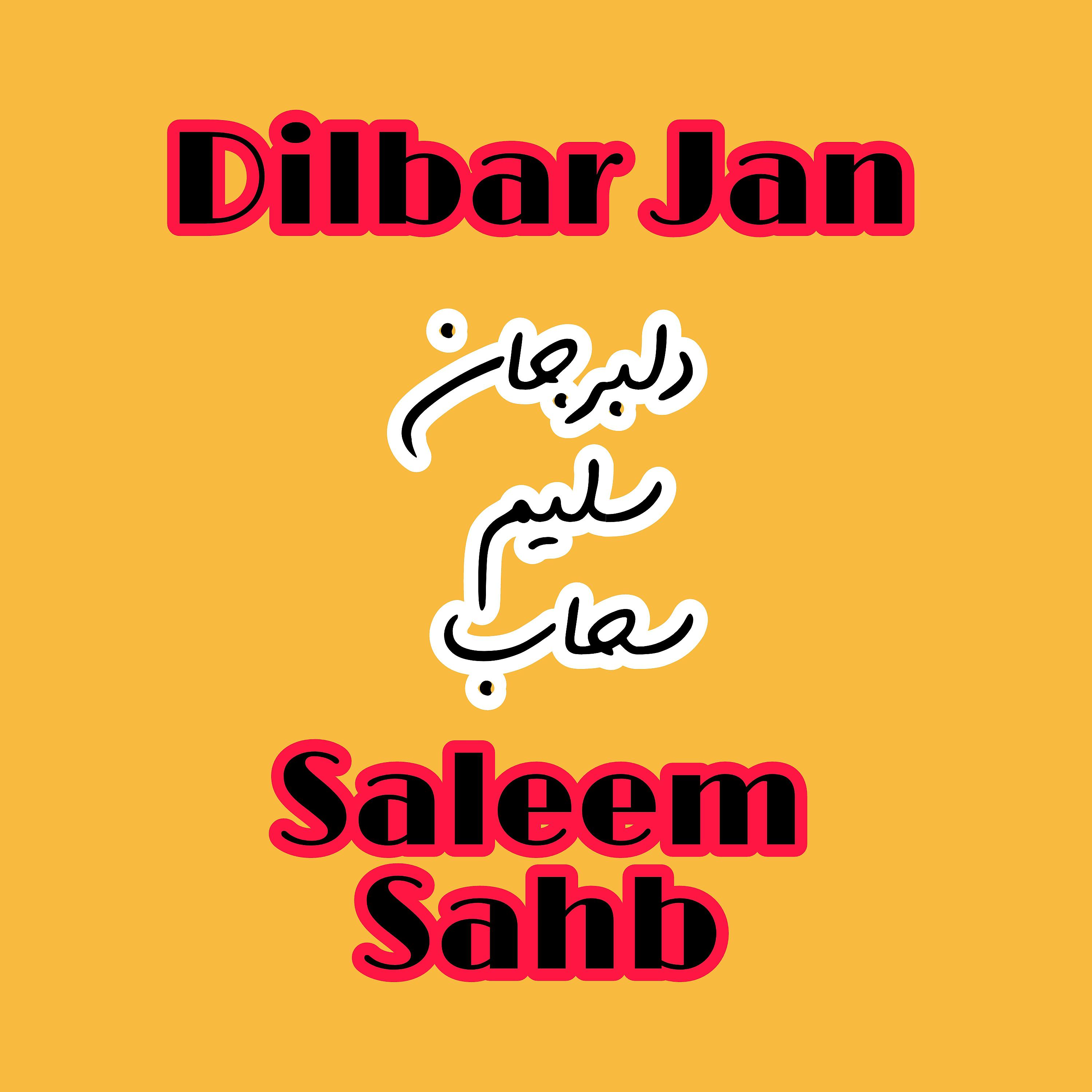 Постер альбома Dilbar Jan