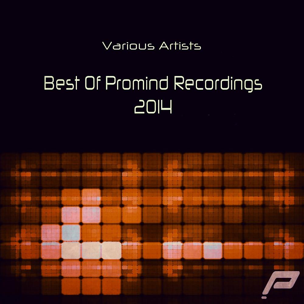 Постер альбома Best Of Promind Recordings 2014