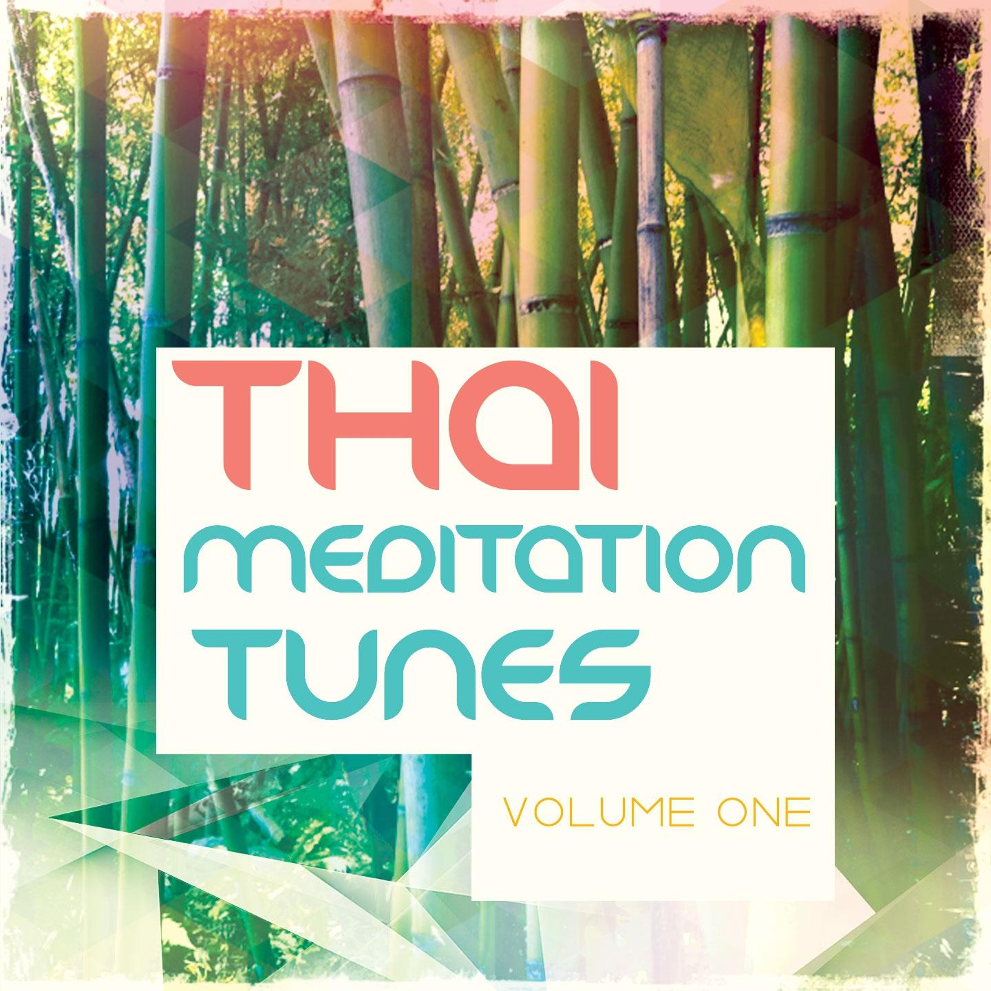 Постер альбома Thai Meditation Tunes - Vipassana Session, Vol. 1