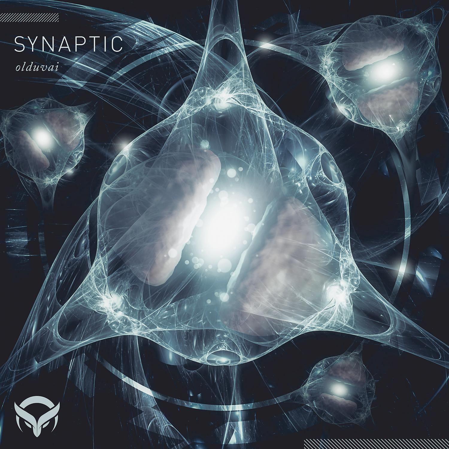 Постер альбома Synaptic