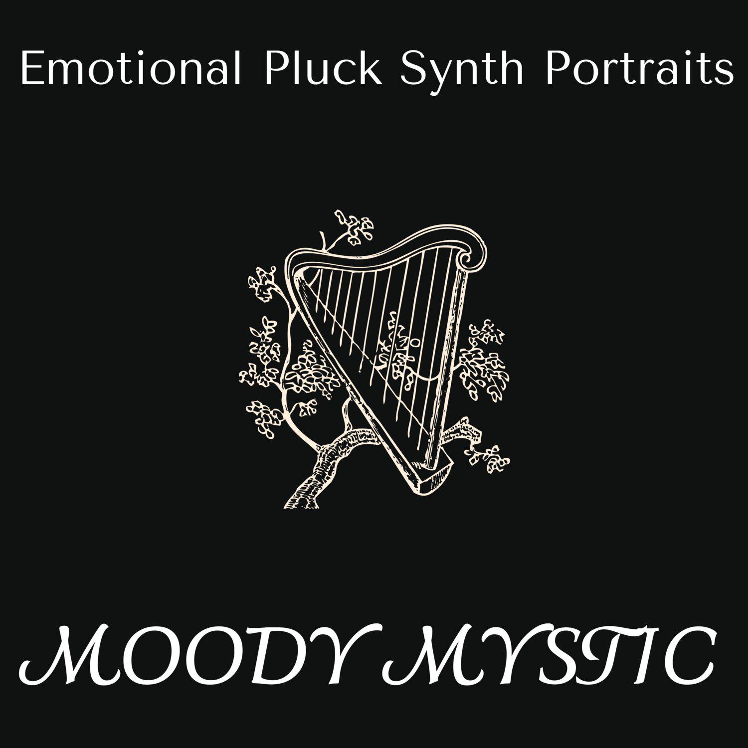 Постер альбома Moody Mystic - Emotional Pluck Synth Portraits