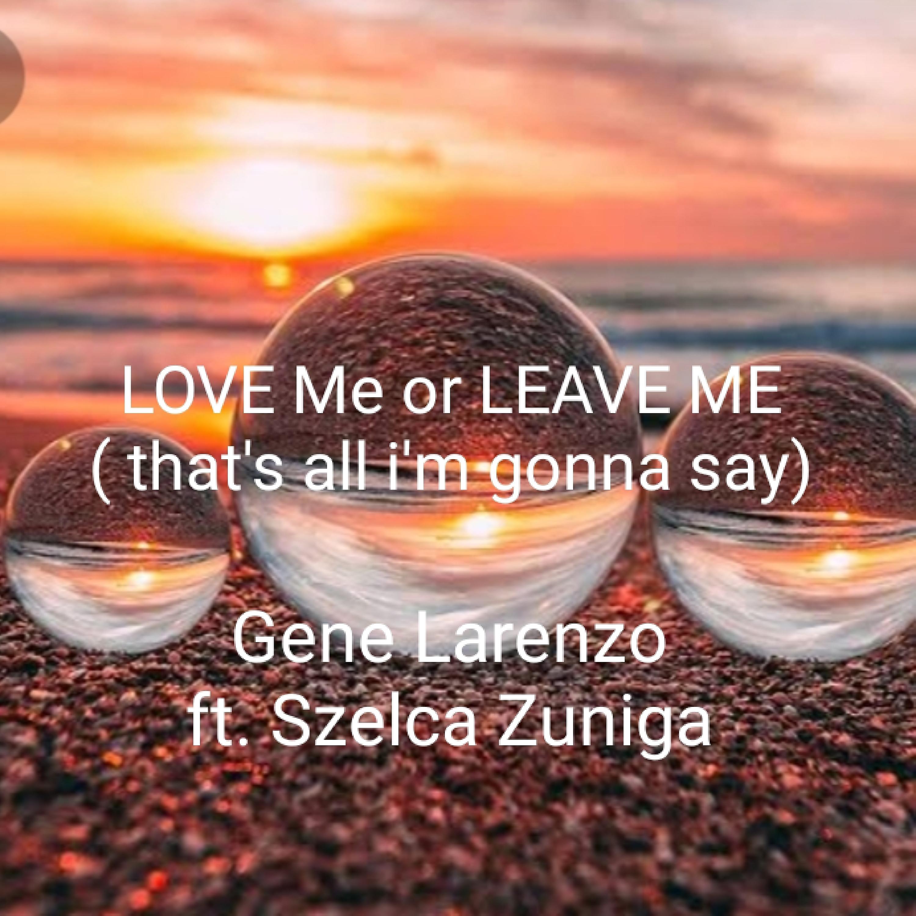 Постер альбома Love Me or Leave Me (That's All I'm Gonna Say)