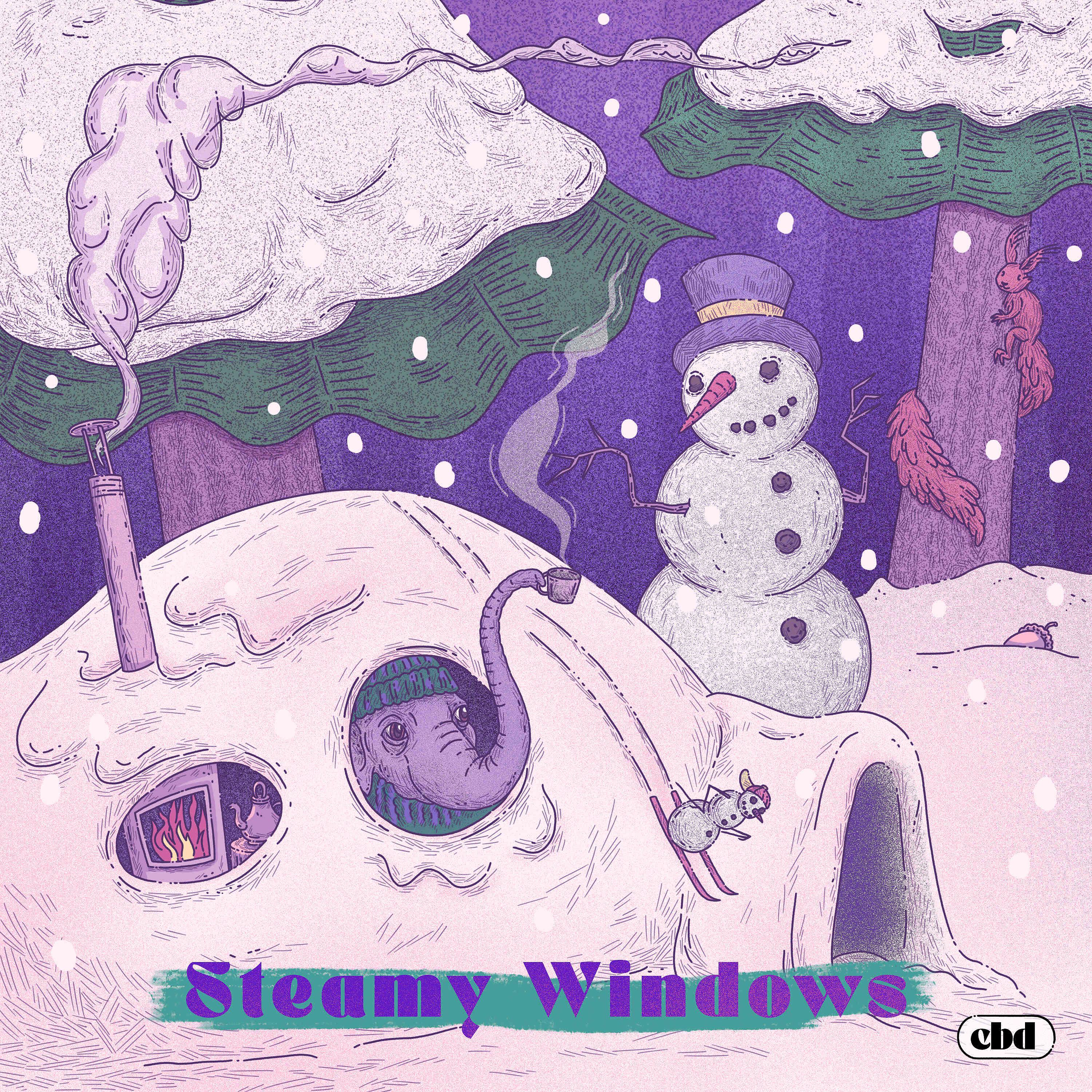Постер альбома Steamy Windows
