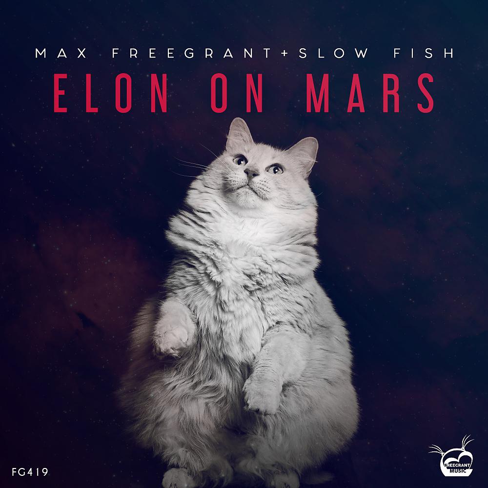 Постер альбома Elon On Mars