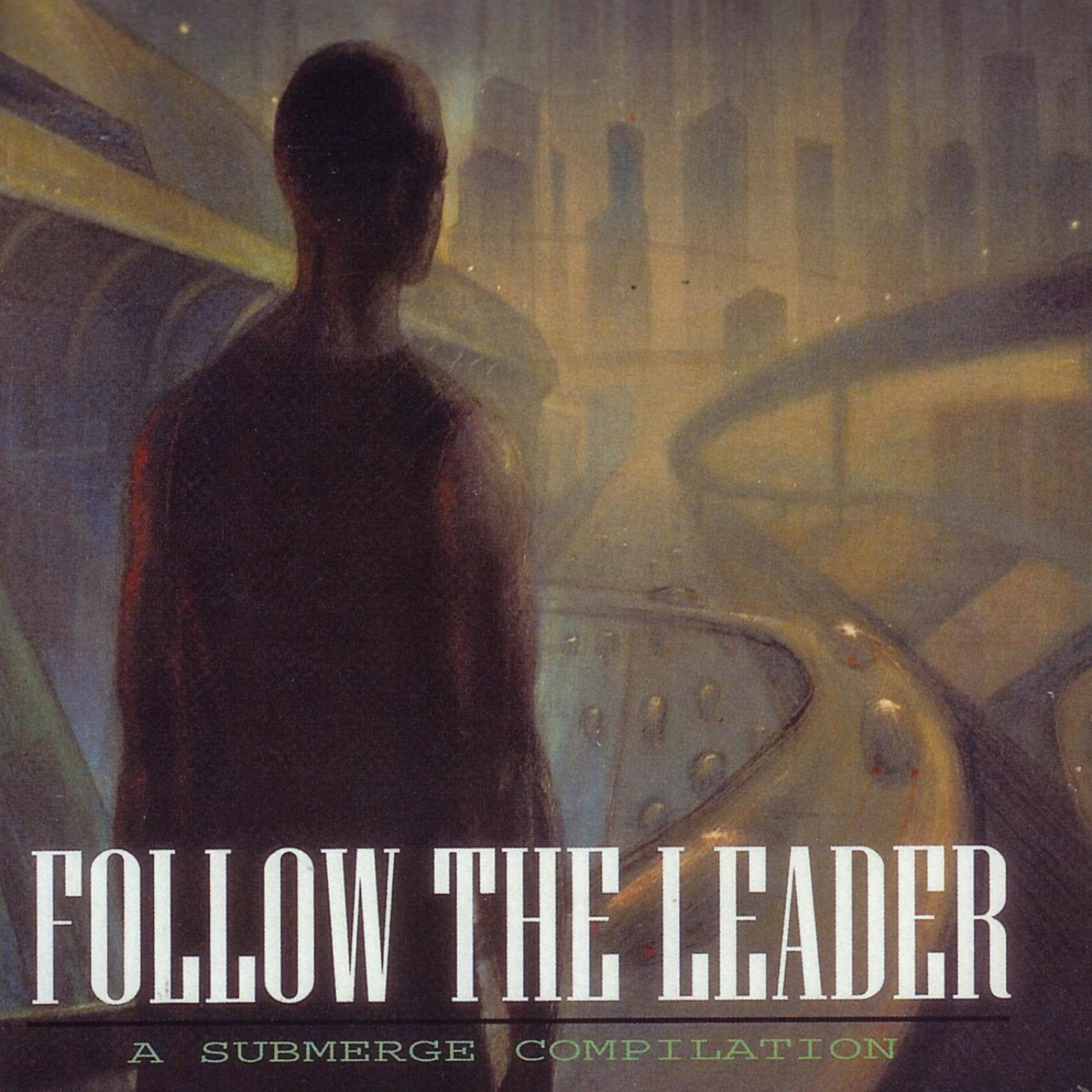 Постер альбома Follow The Leader: A Submerge Compilation