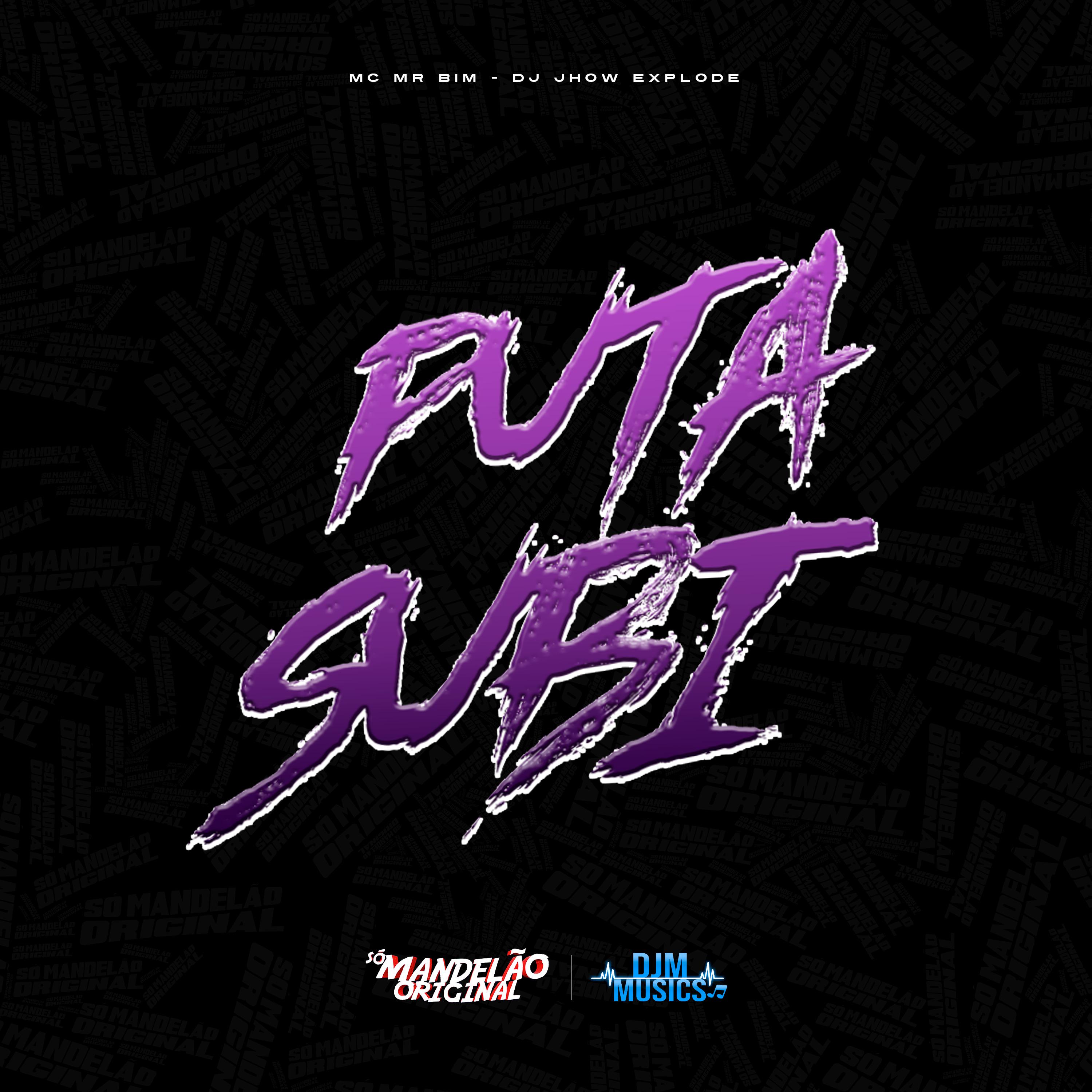 Постер альбома Puta Subi