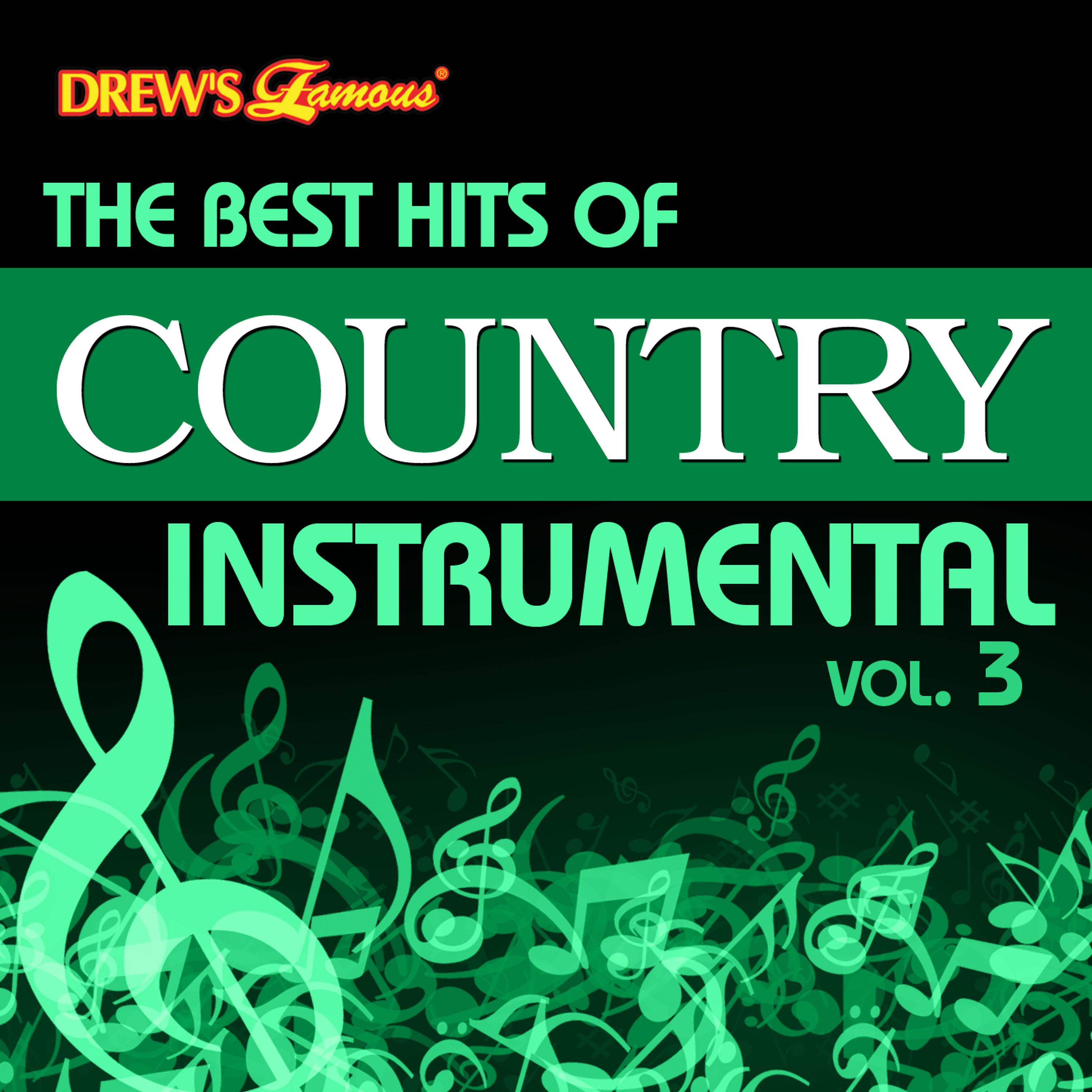 Постер альбома The Best Hits of Country Instrumental, Vol. 3
