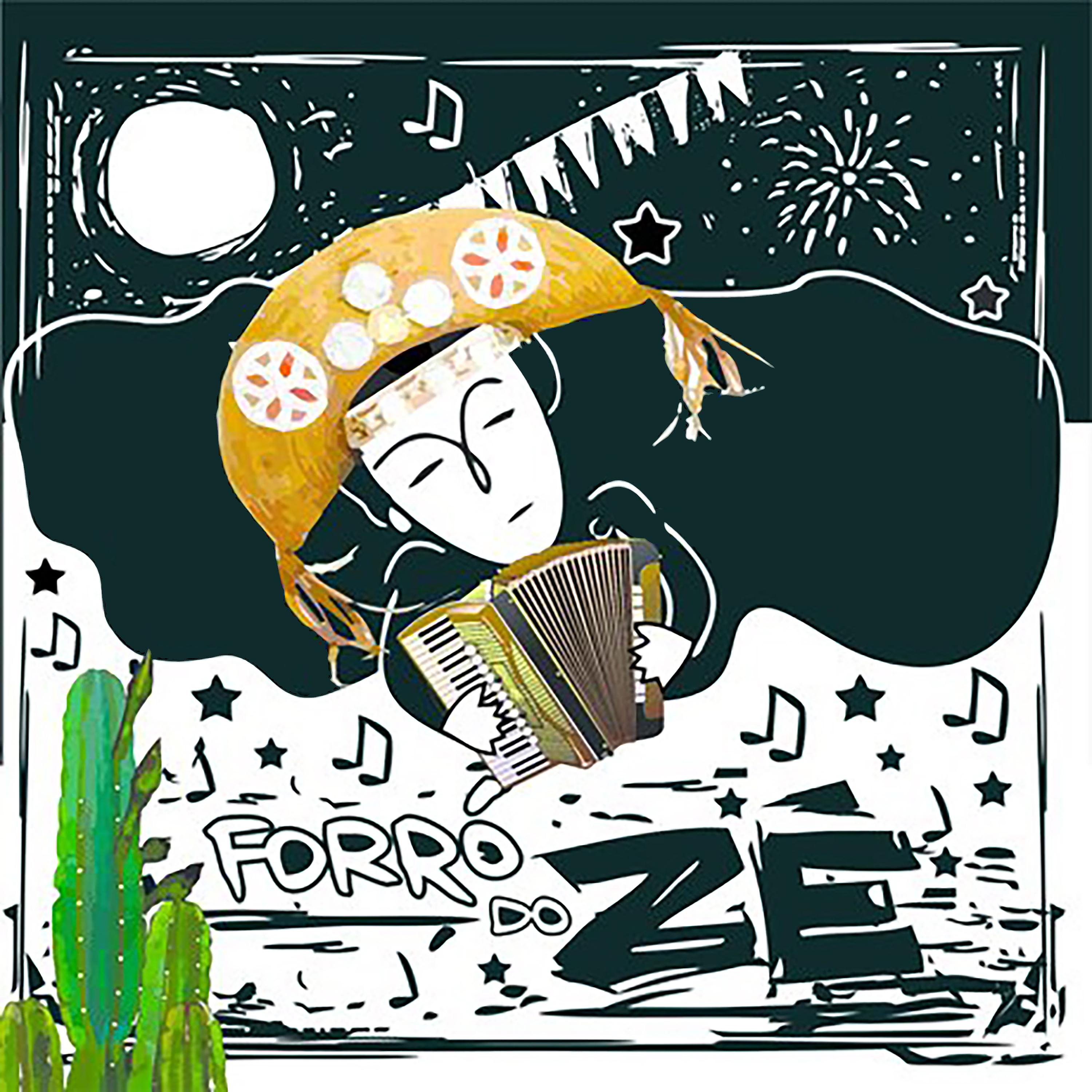 Постер альбома Forro do Zé