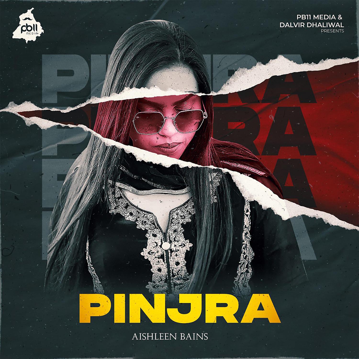 Постер альбома Pinjra