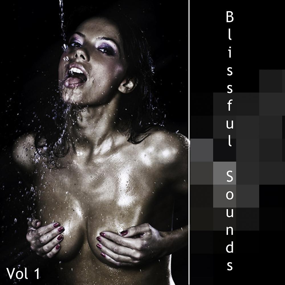 Постер альбома Blissful Sounds, Vol. 1