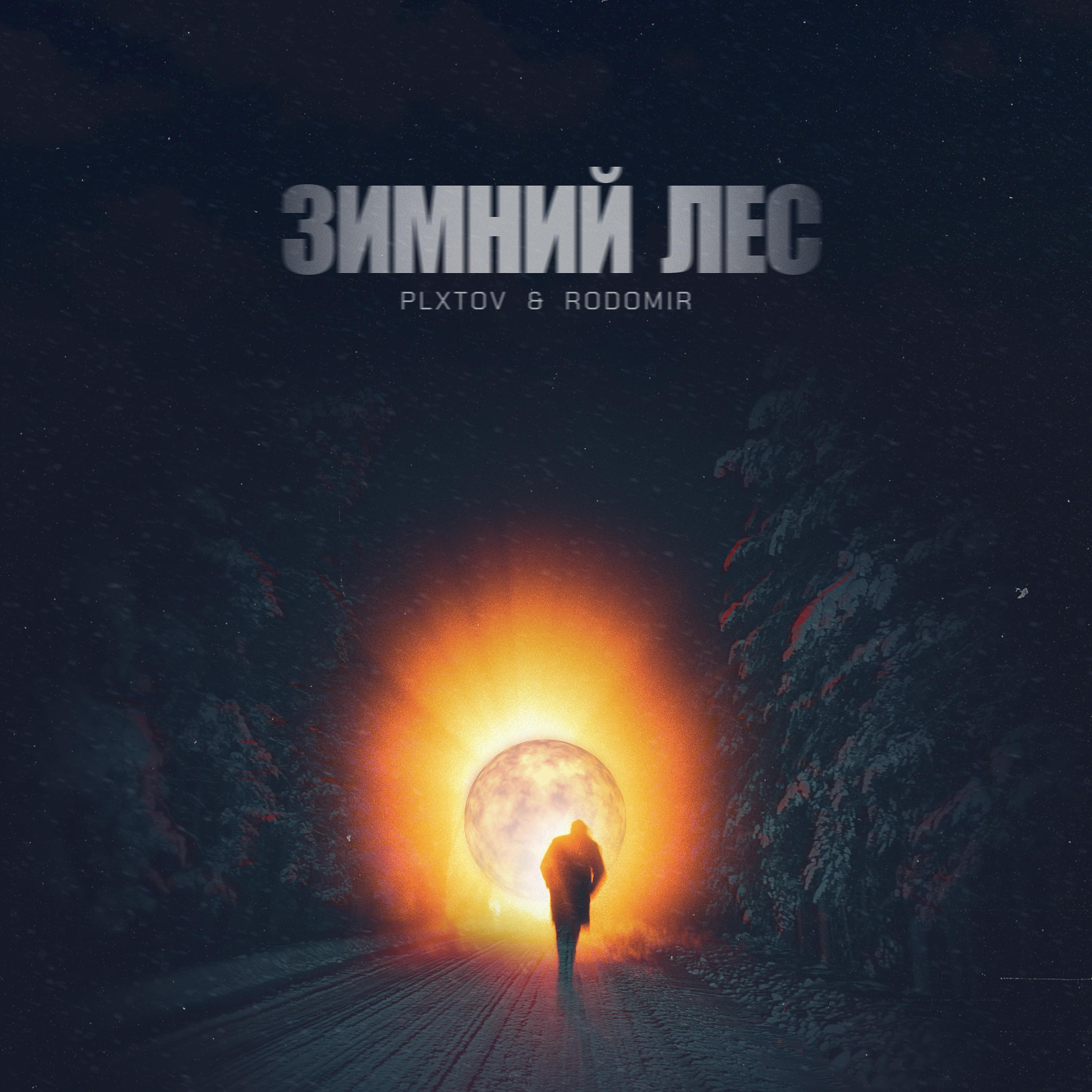 Постер альбома Зимний лес