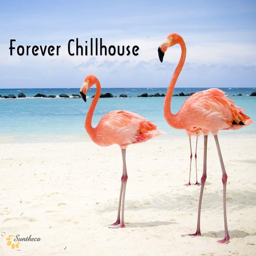 Постер альбома Forever Chillhouse