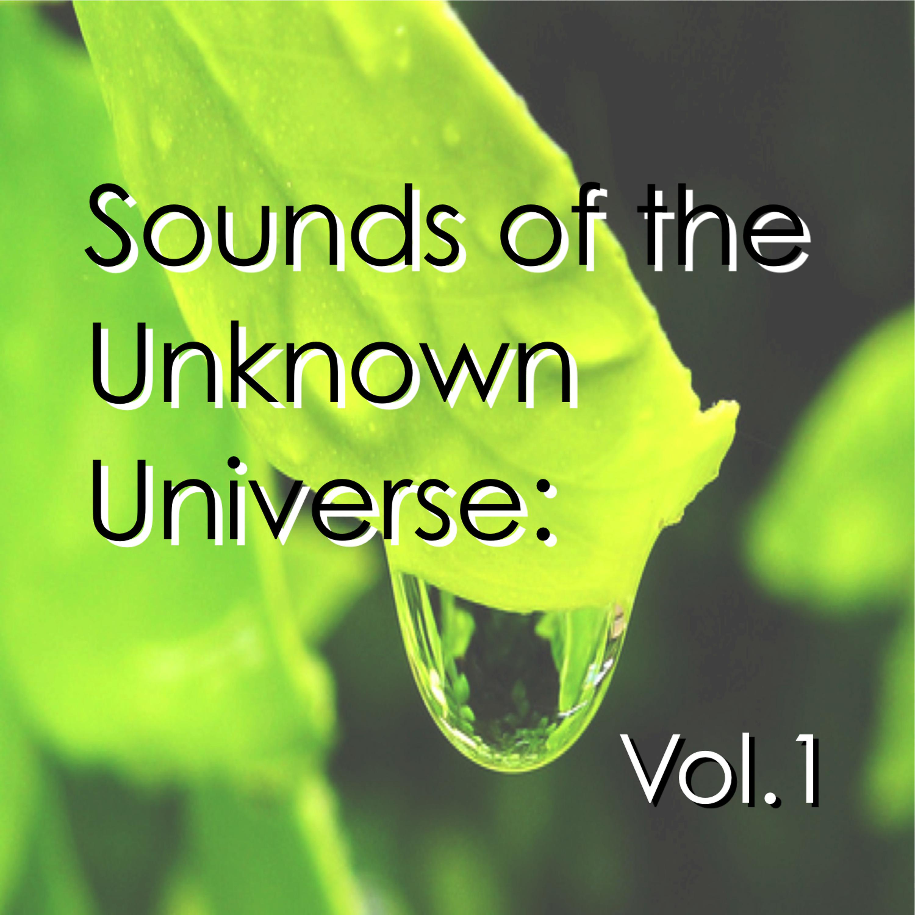 Постер альбома Sounds of the Unknown Universe: Vol.1