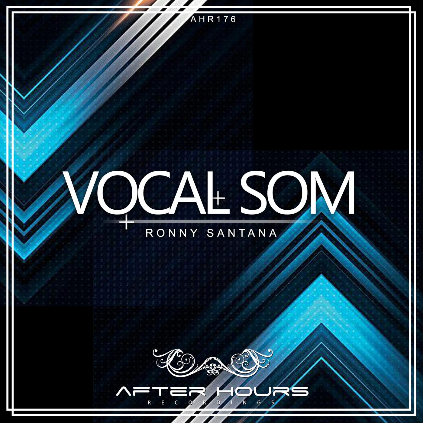 Постер альбома Vocal Som