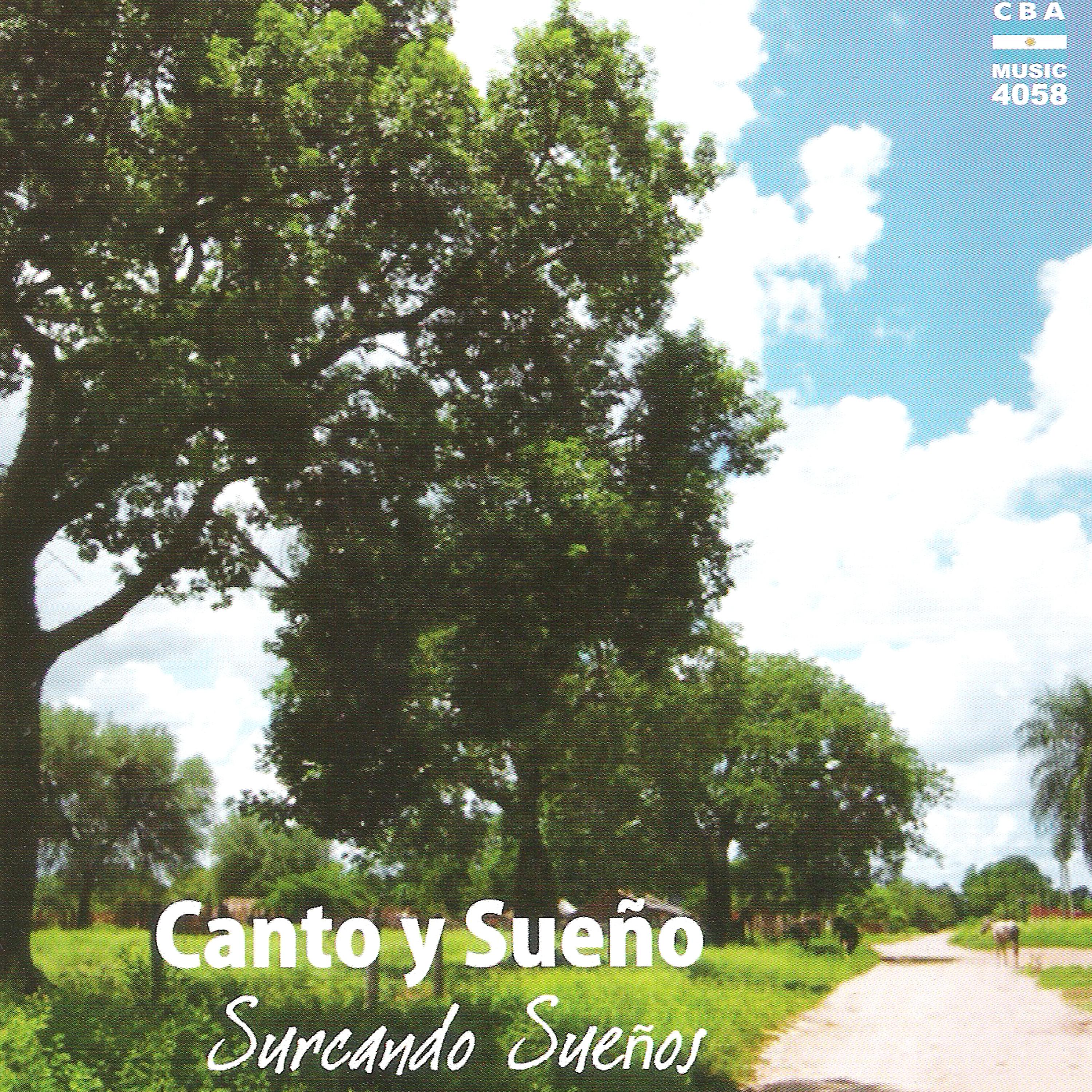 Постер альбома Surcando Sueños