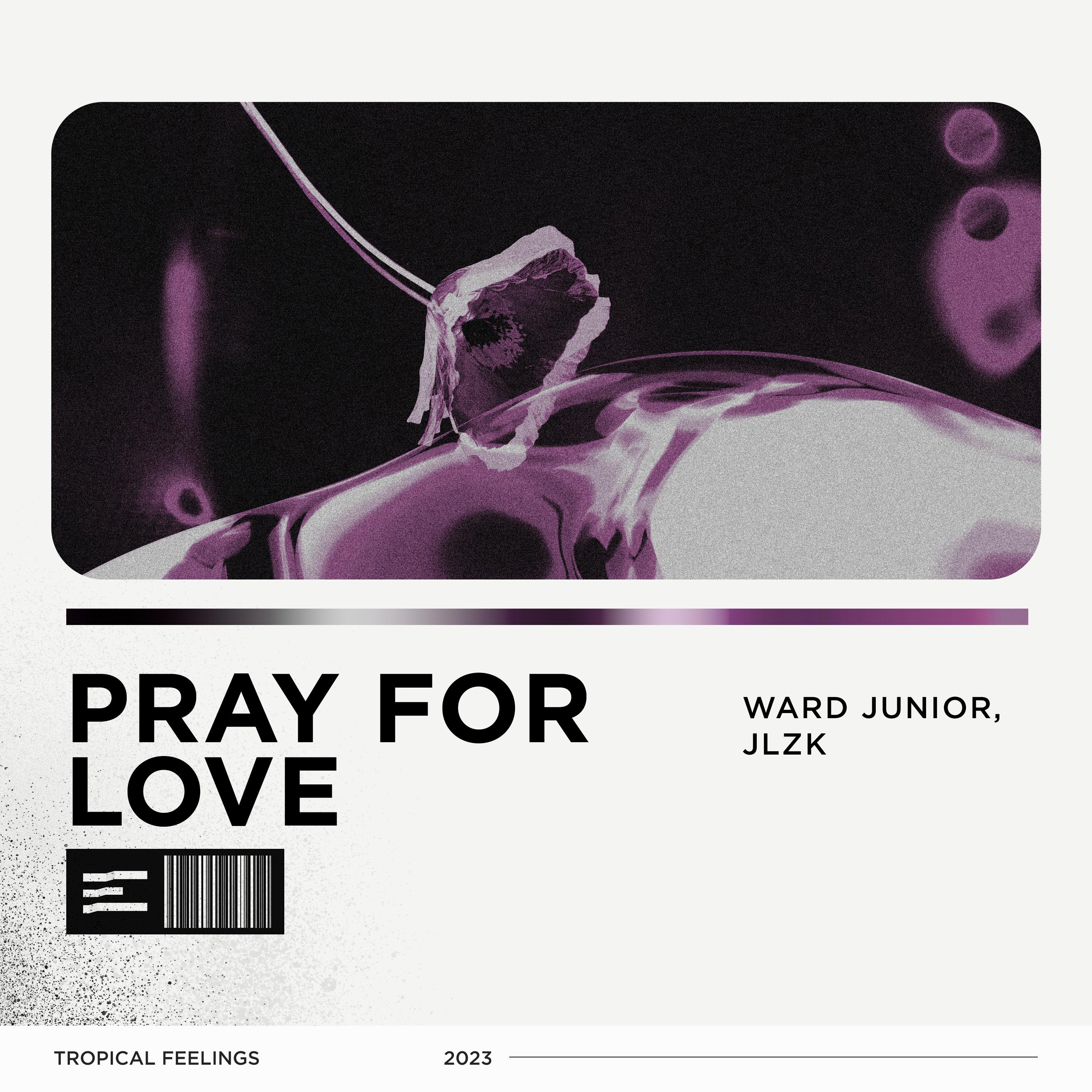 Постер альбома Pray for Love