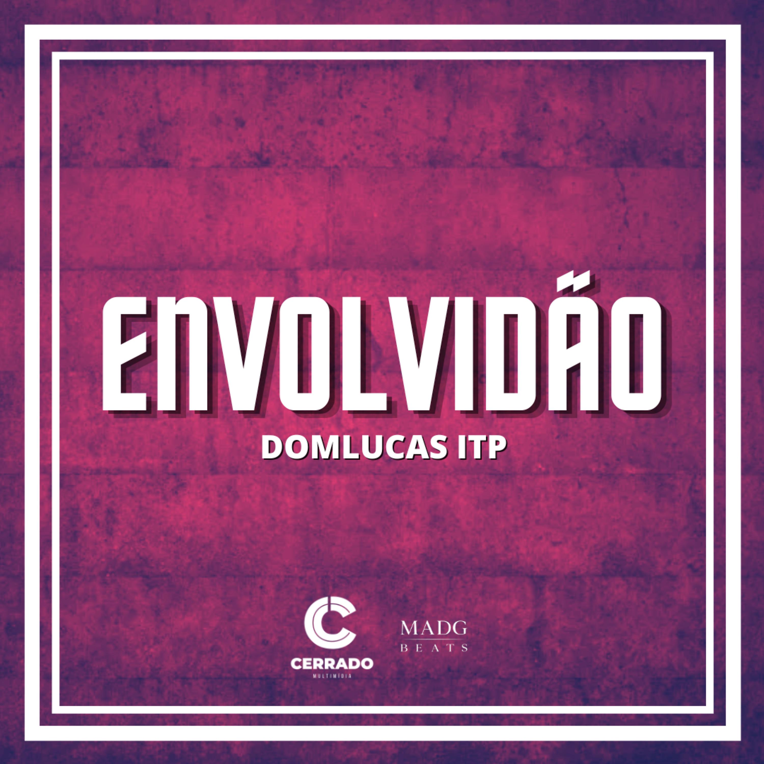 Постер альбома Envolvidão