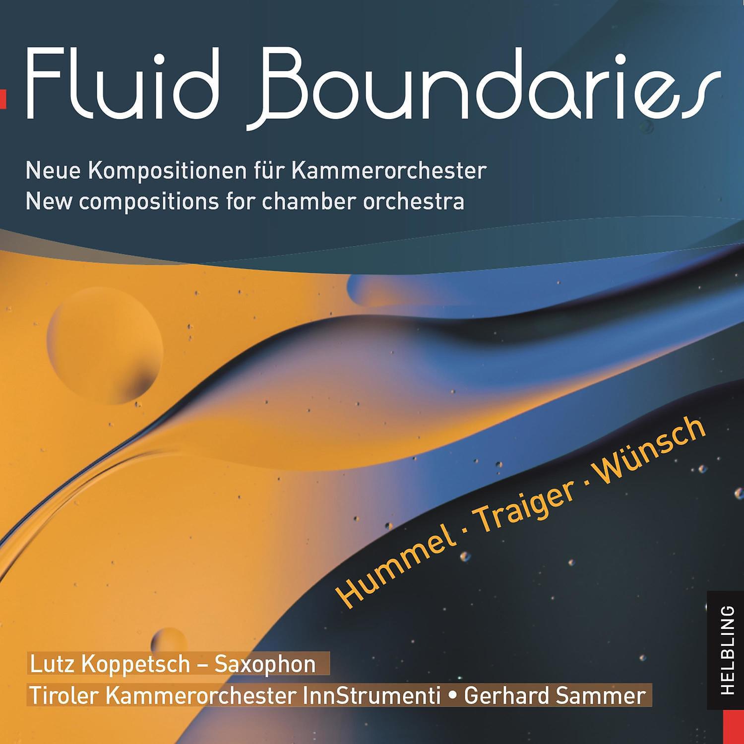 Постер альбома Fluid Boundaries. Neue Kompositionen für Kammerorchester