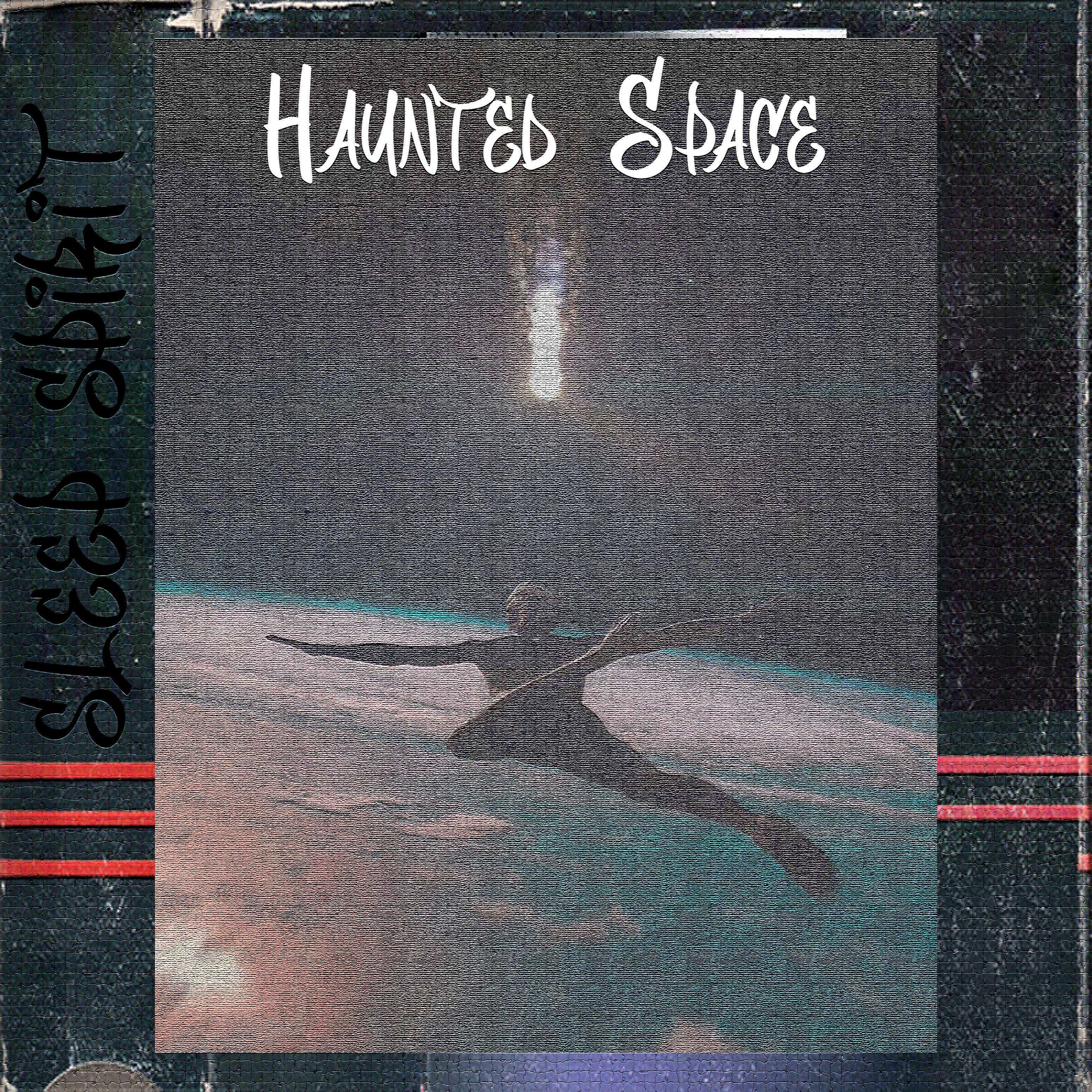 Постер альбома Haunted Space