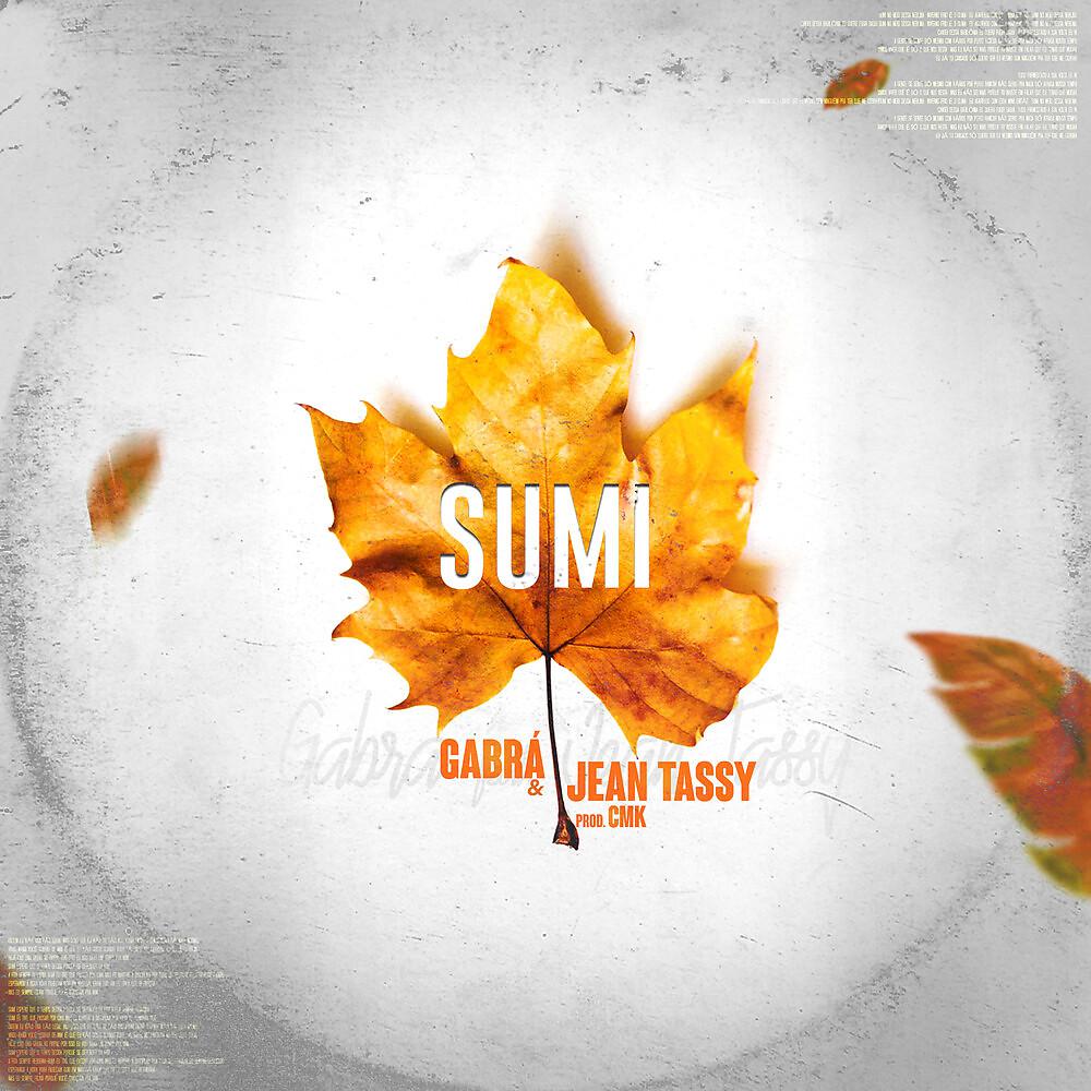 Постер альбома Sumi
