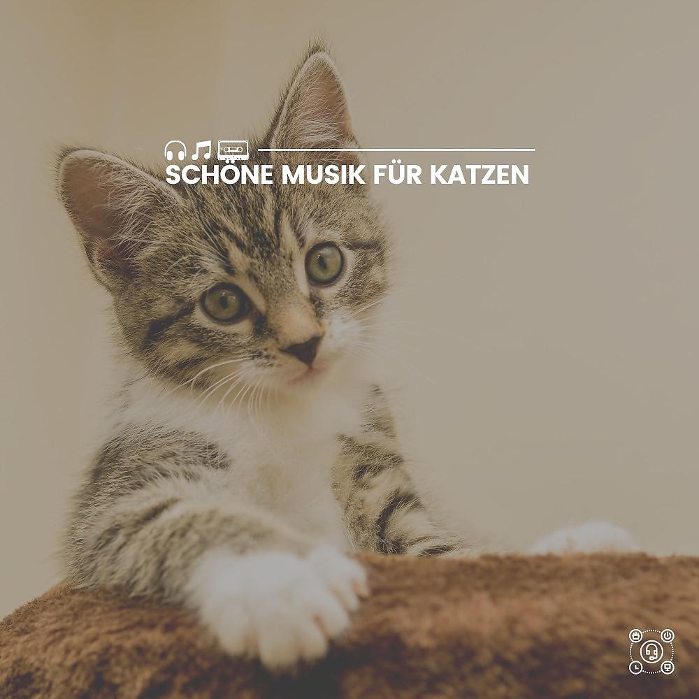 Постер альбома Schöne Musik für Katzen
