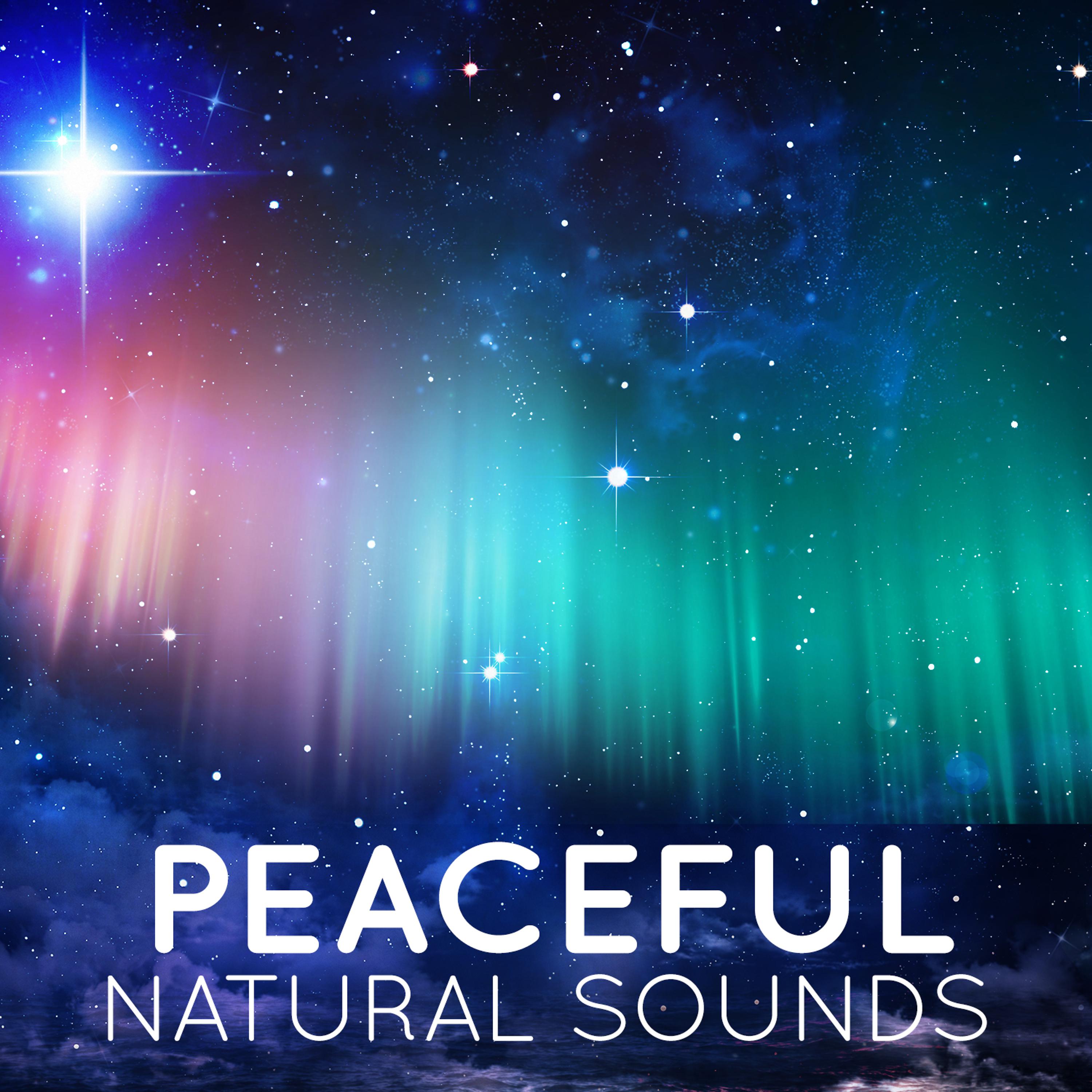 Постер альбома Peaceful Natural Sounds