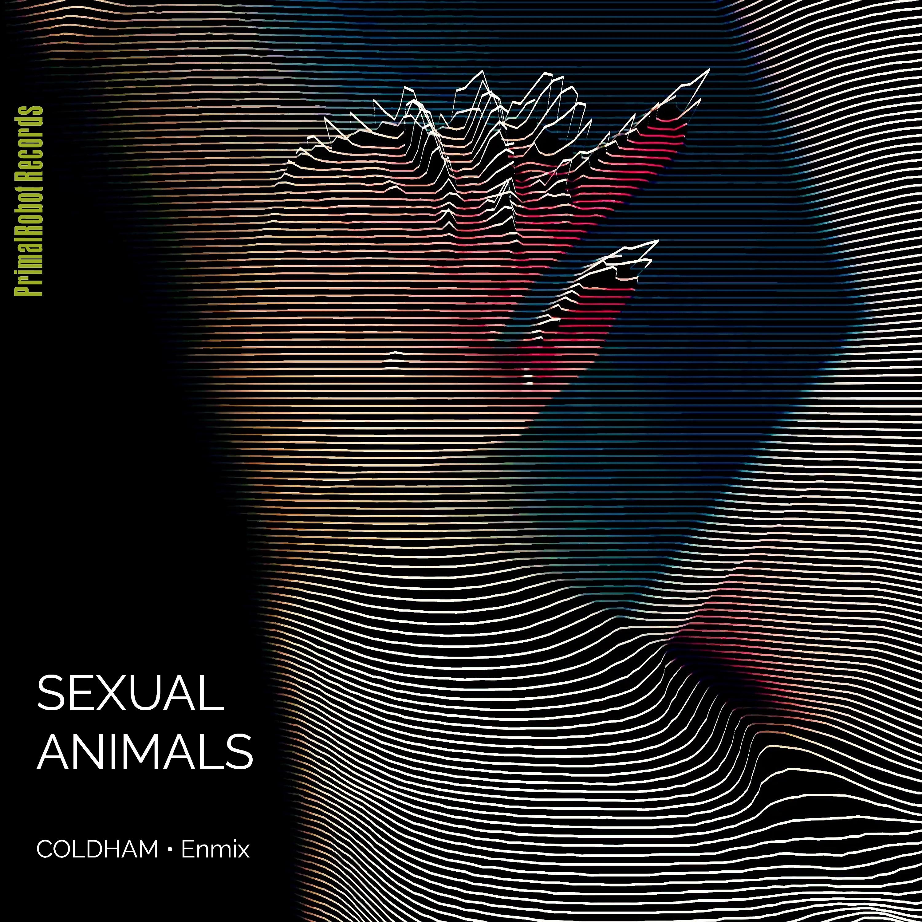 Постер альбома Sexual Animals