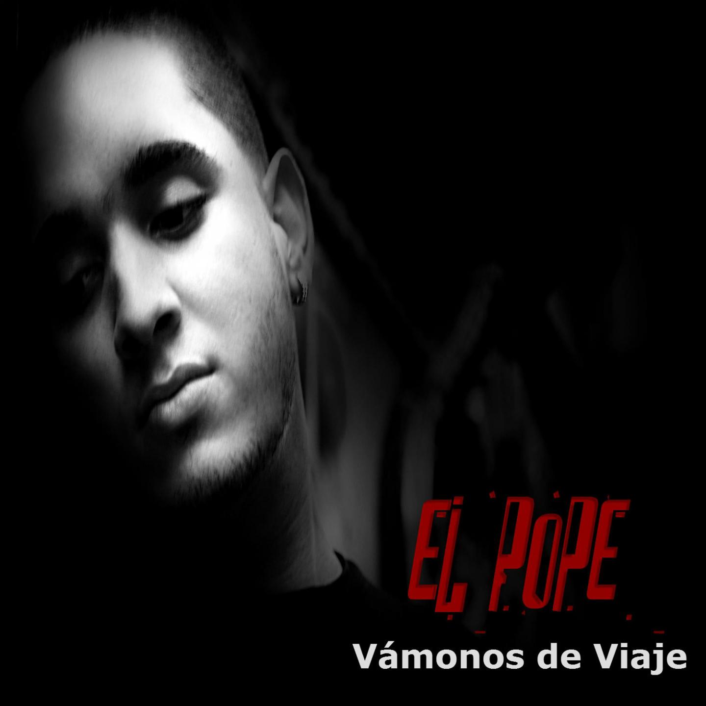 Постер альбома Vámonos de Viaje