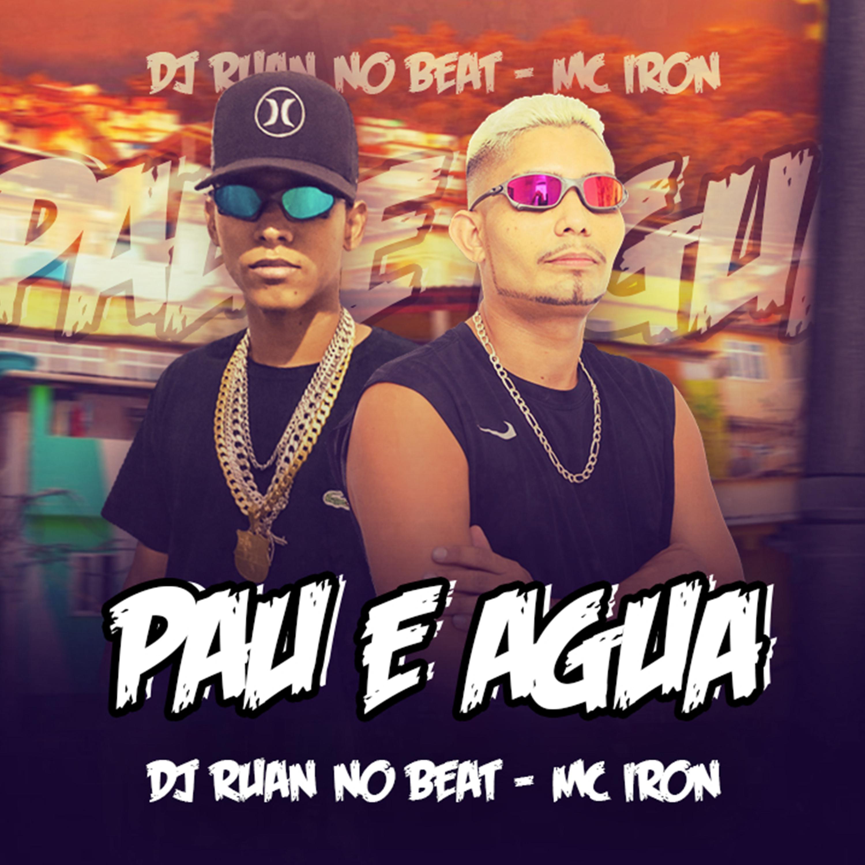 Постер альбома É Só Pau e Água