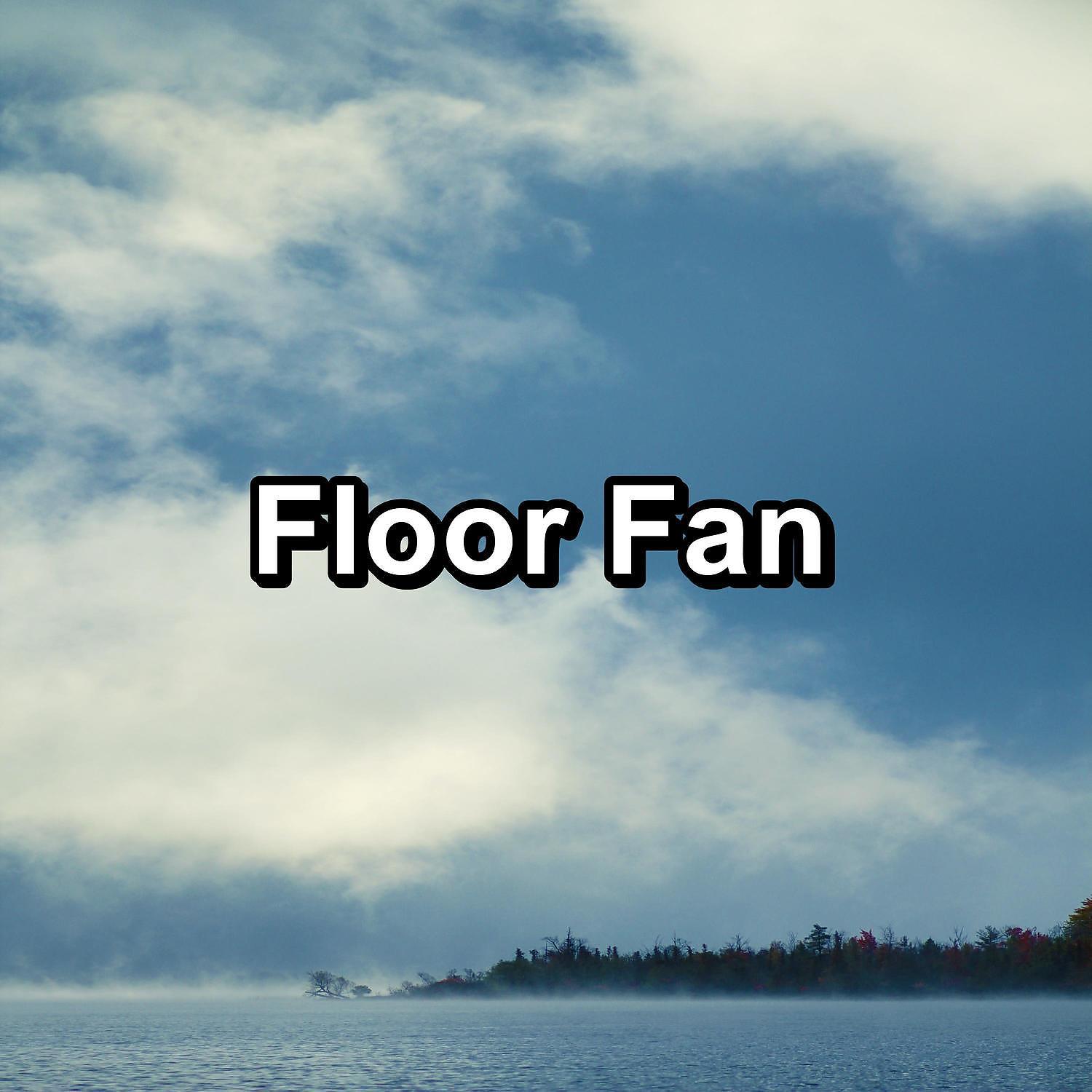 Постер альбома Floor Fan