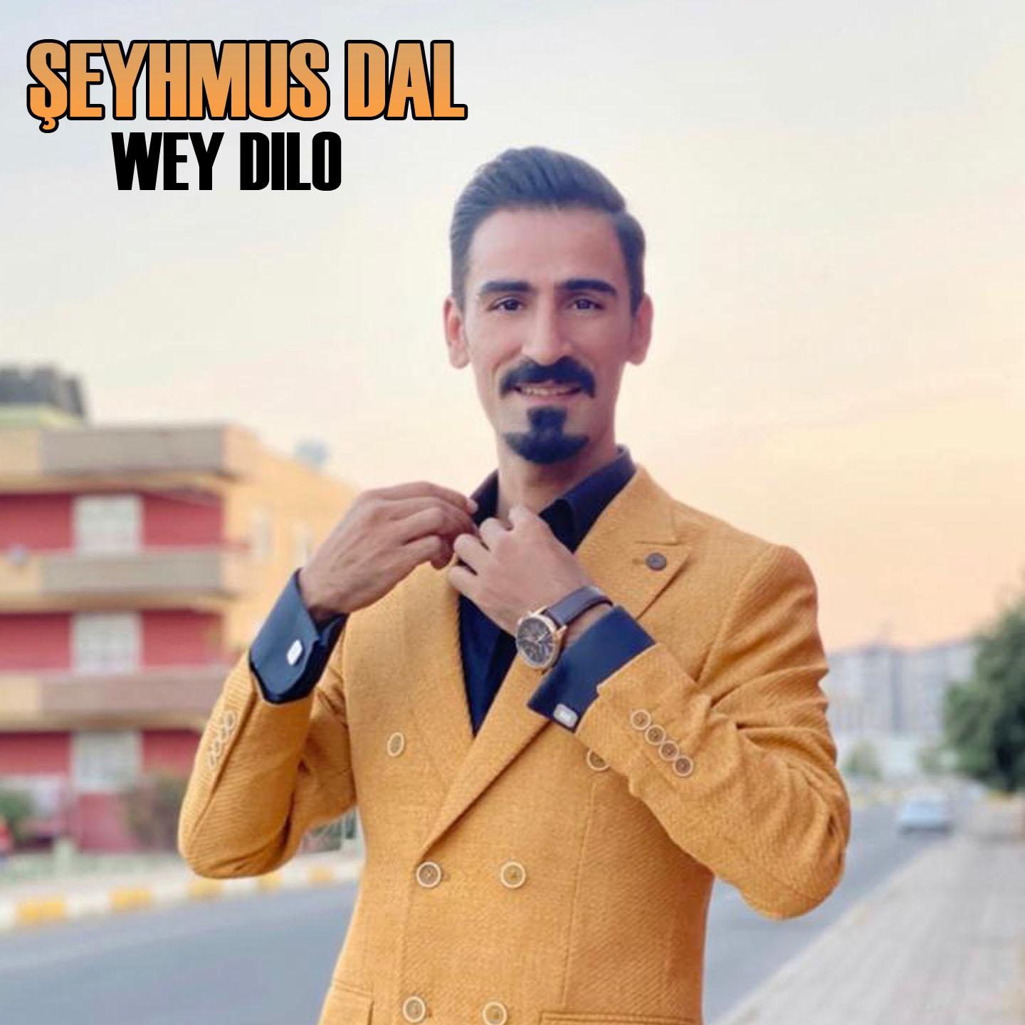 Постер альбома Wey Dılo
