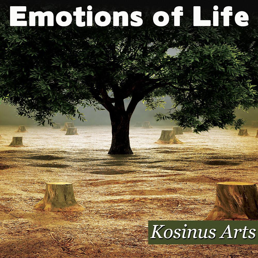 Постер альбома Emotions Of Life