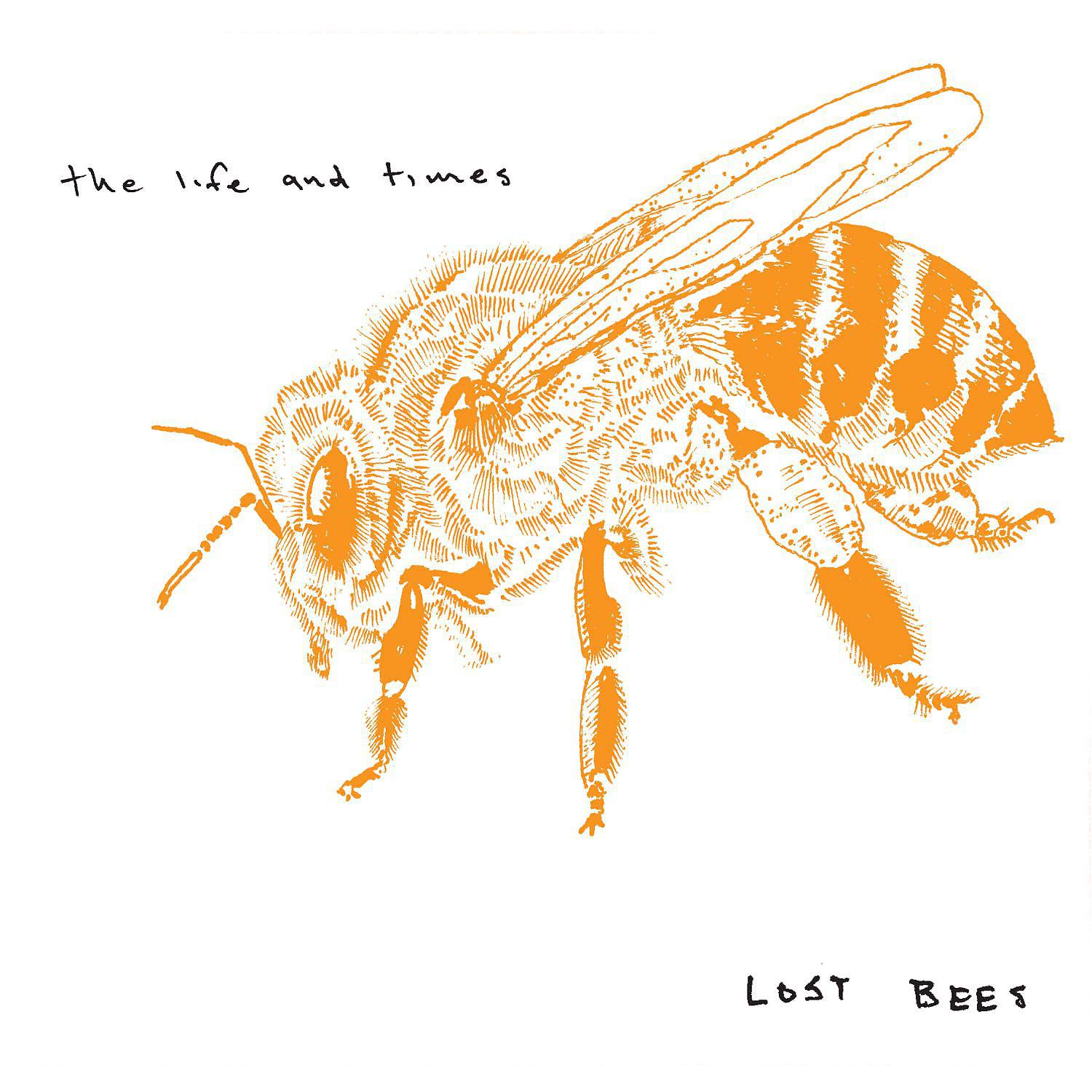 Постер альбома Lost Bees