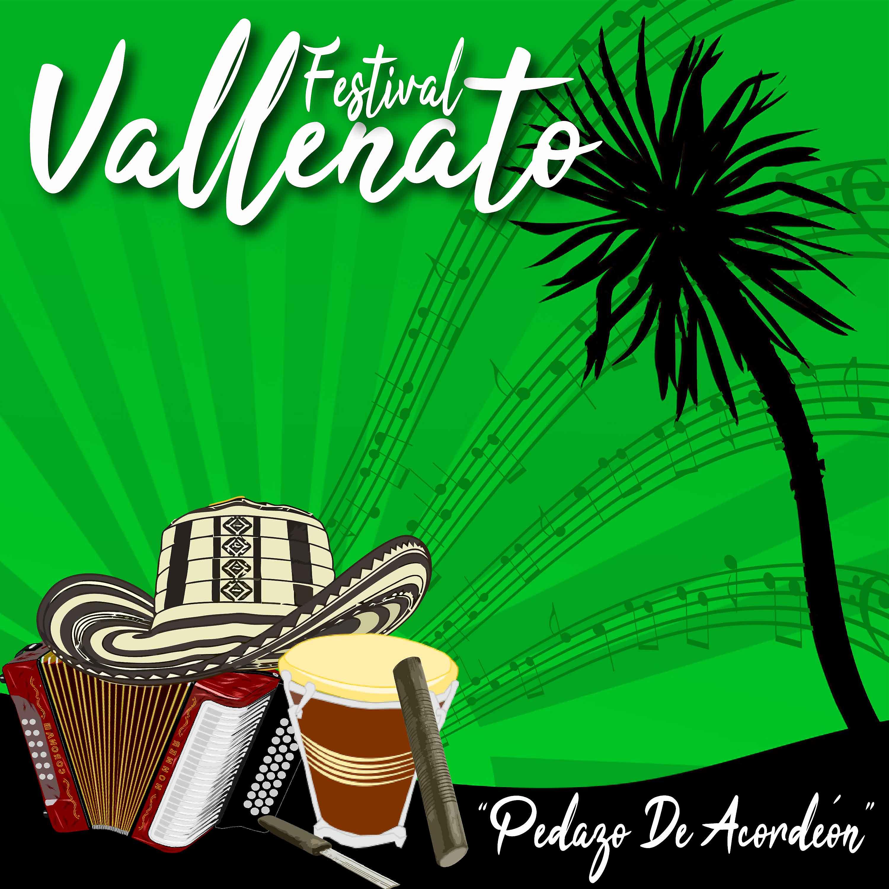 Постер альбома Festival Vallenato / Pedazo de Acordeón