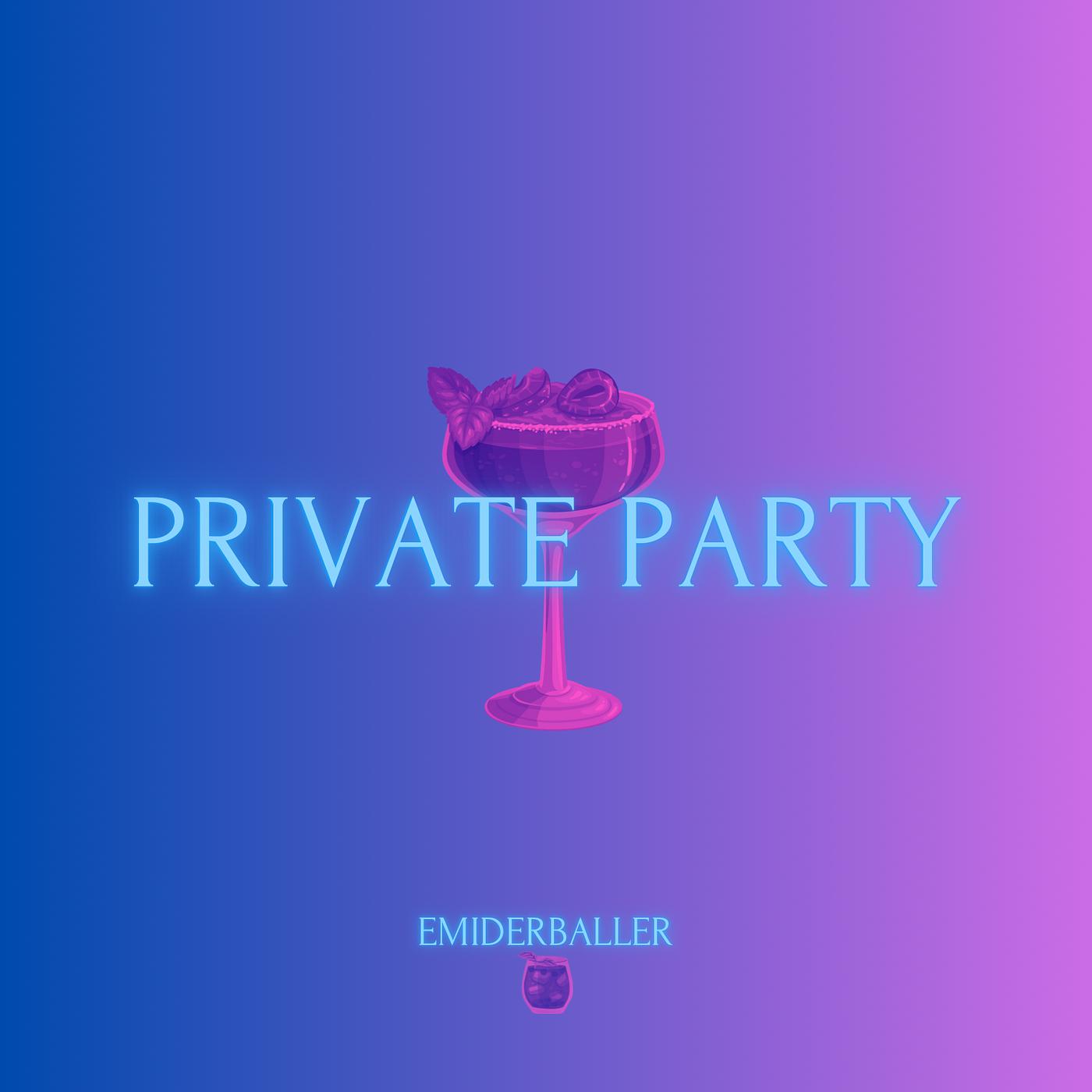 Постер альбома Private Party