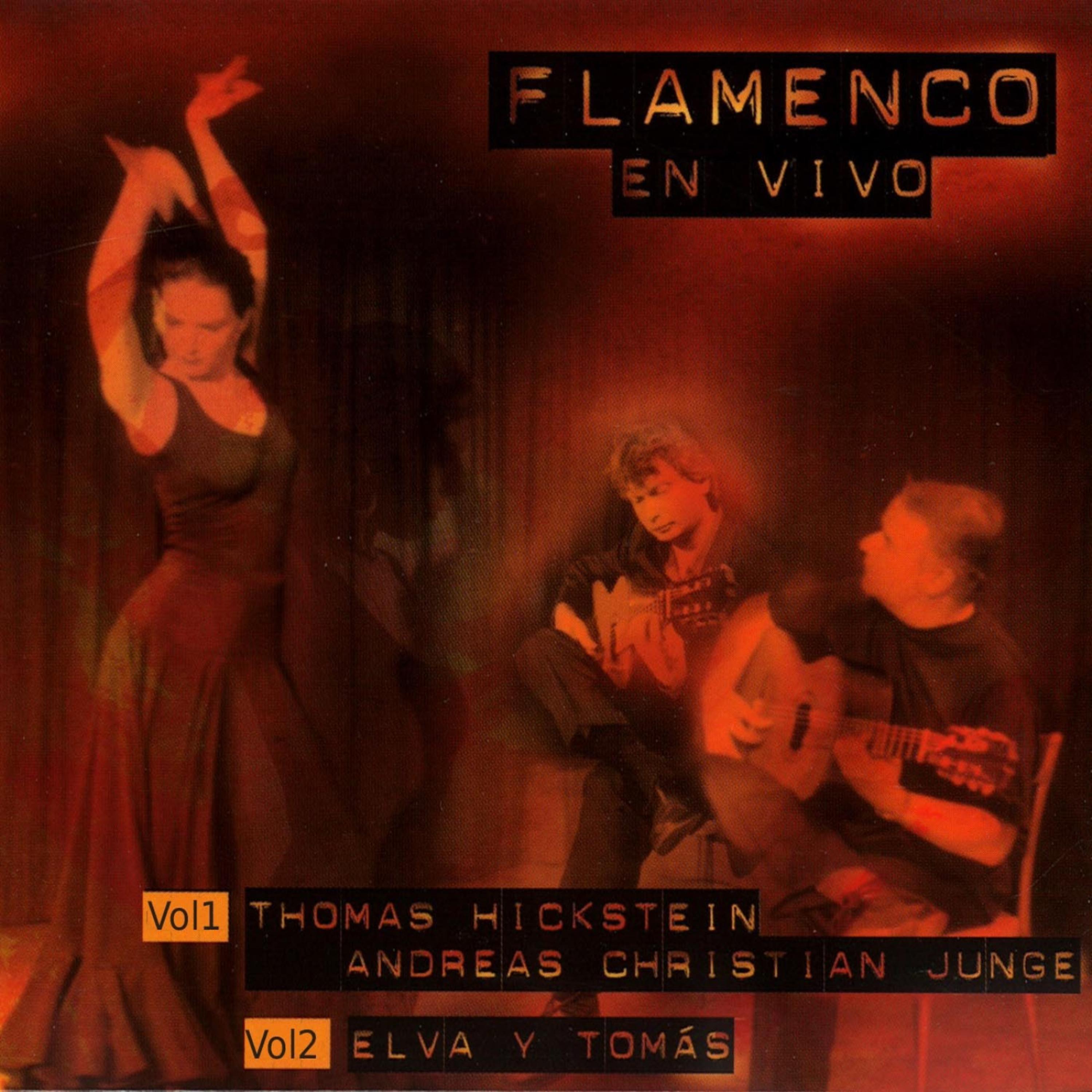 Постер альбома Flamenco En Vivo