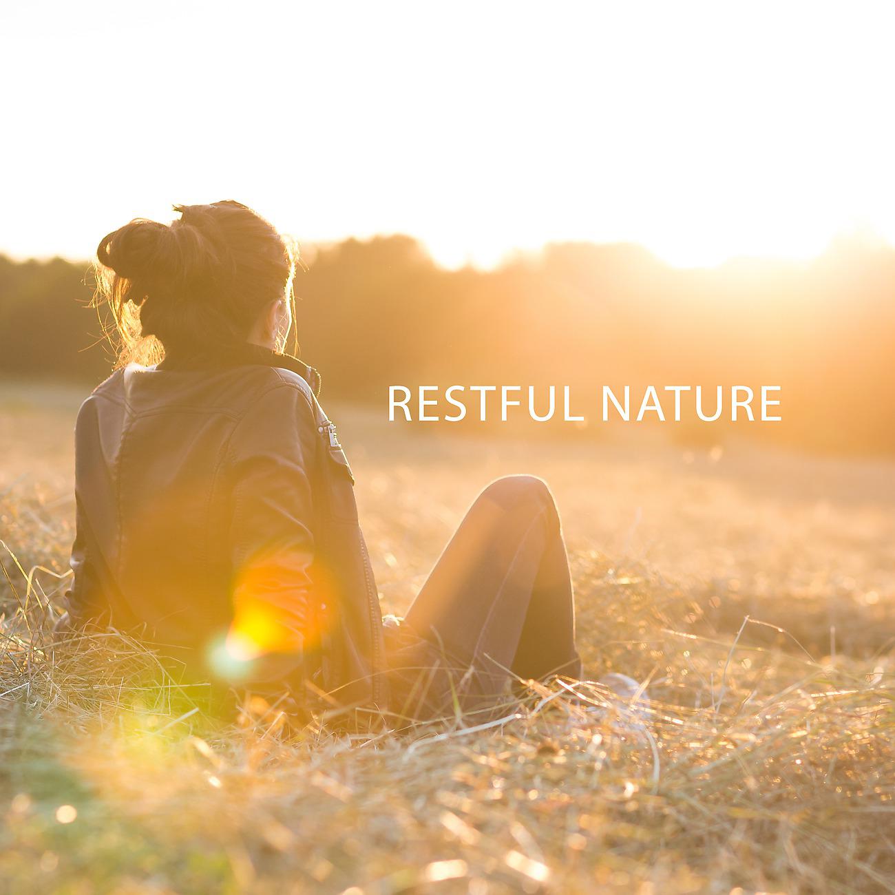 Постер альбома Restful Nature