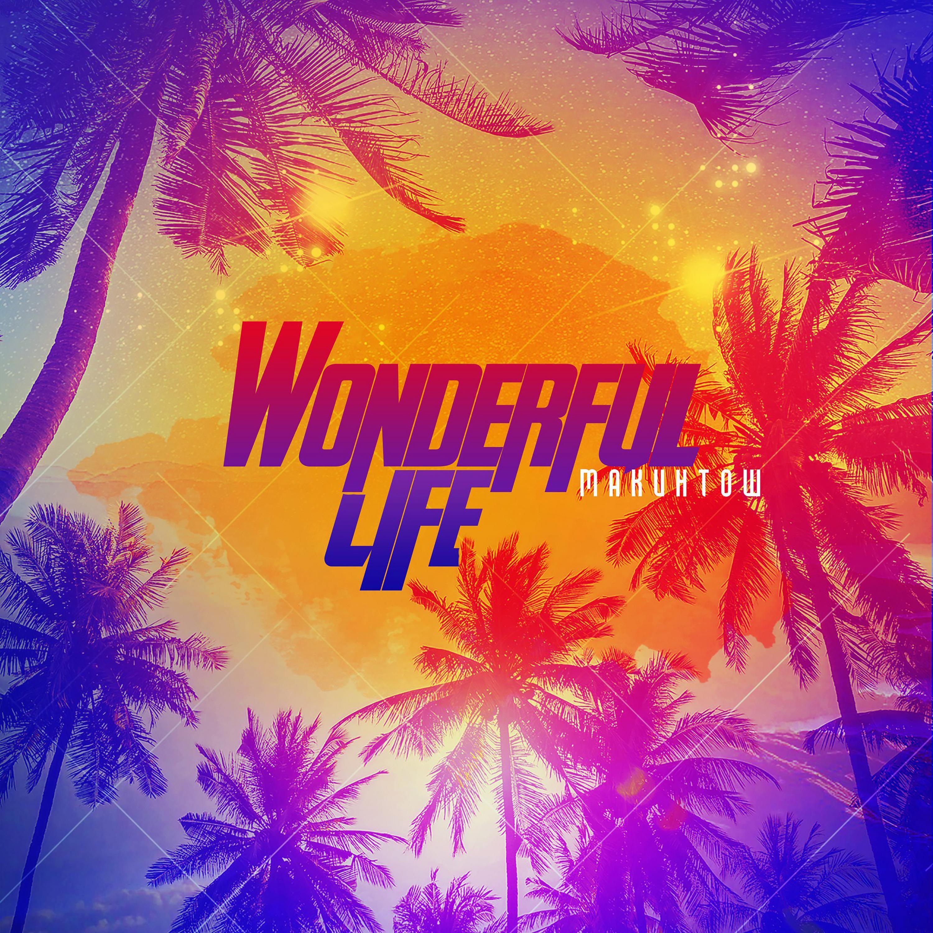 Постер альбома Wonderful life